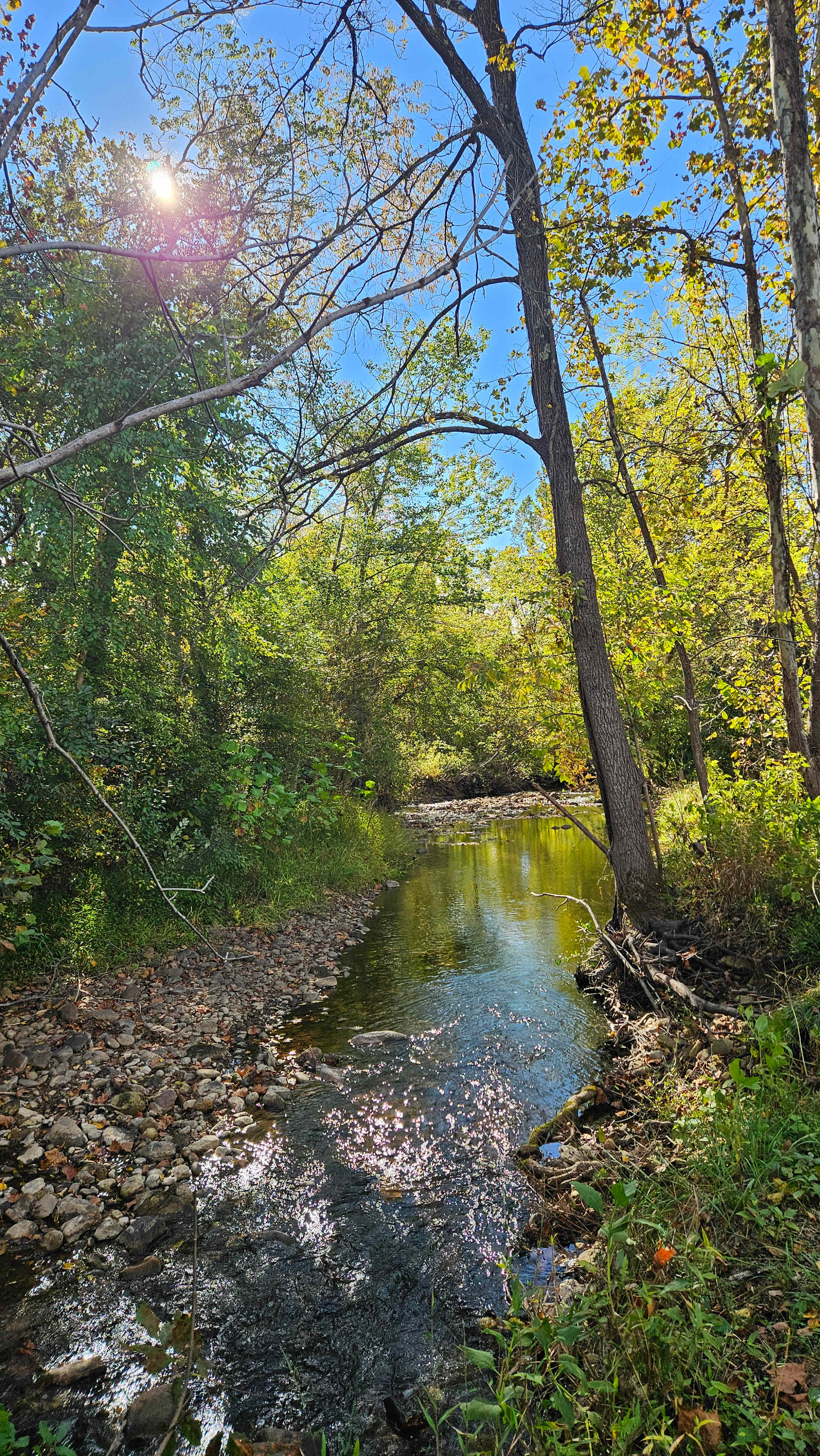Stoney Creek Campground