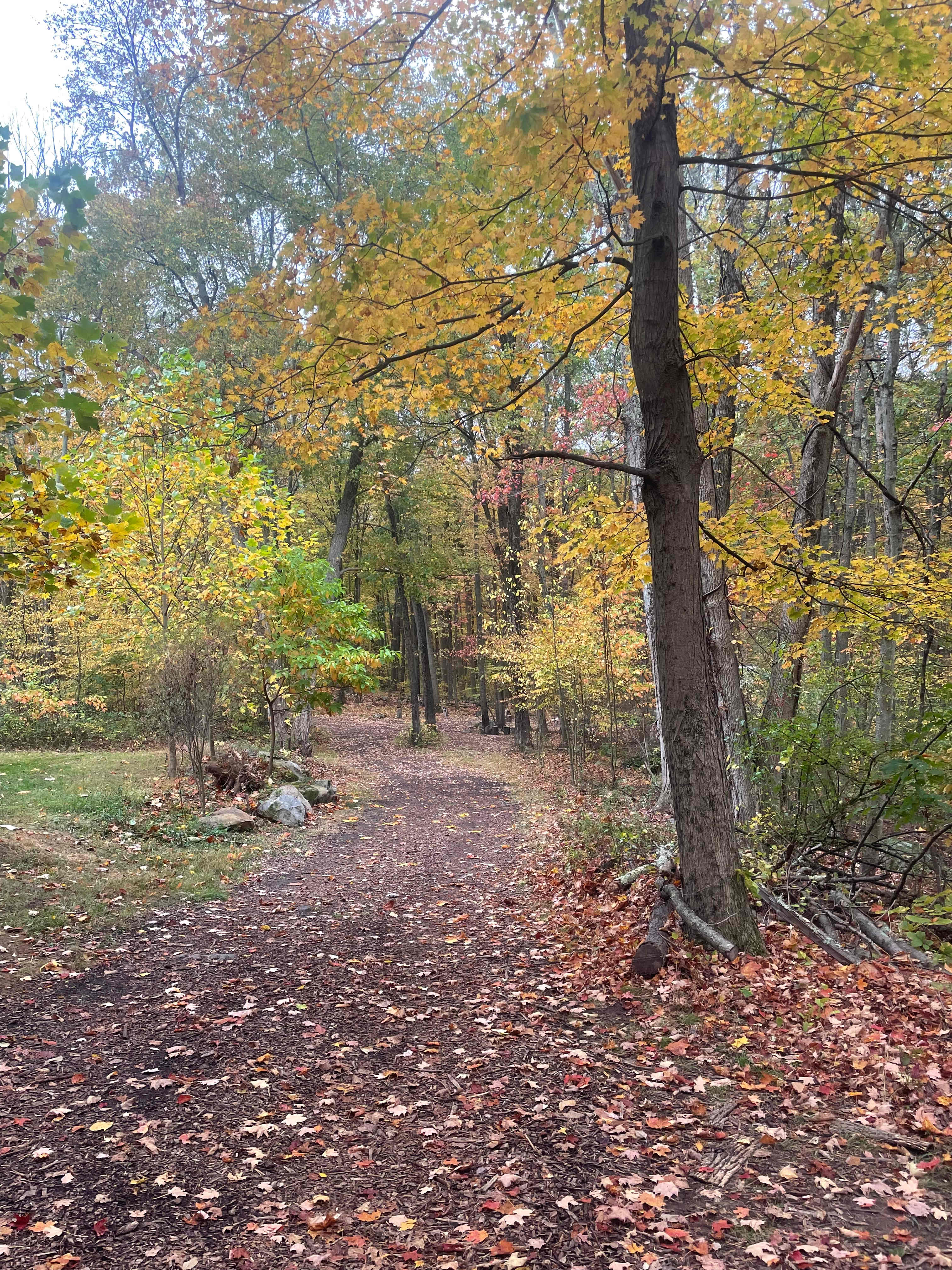 Paradise Valley Homestead