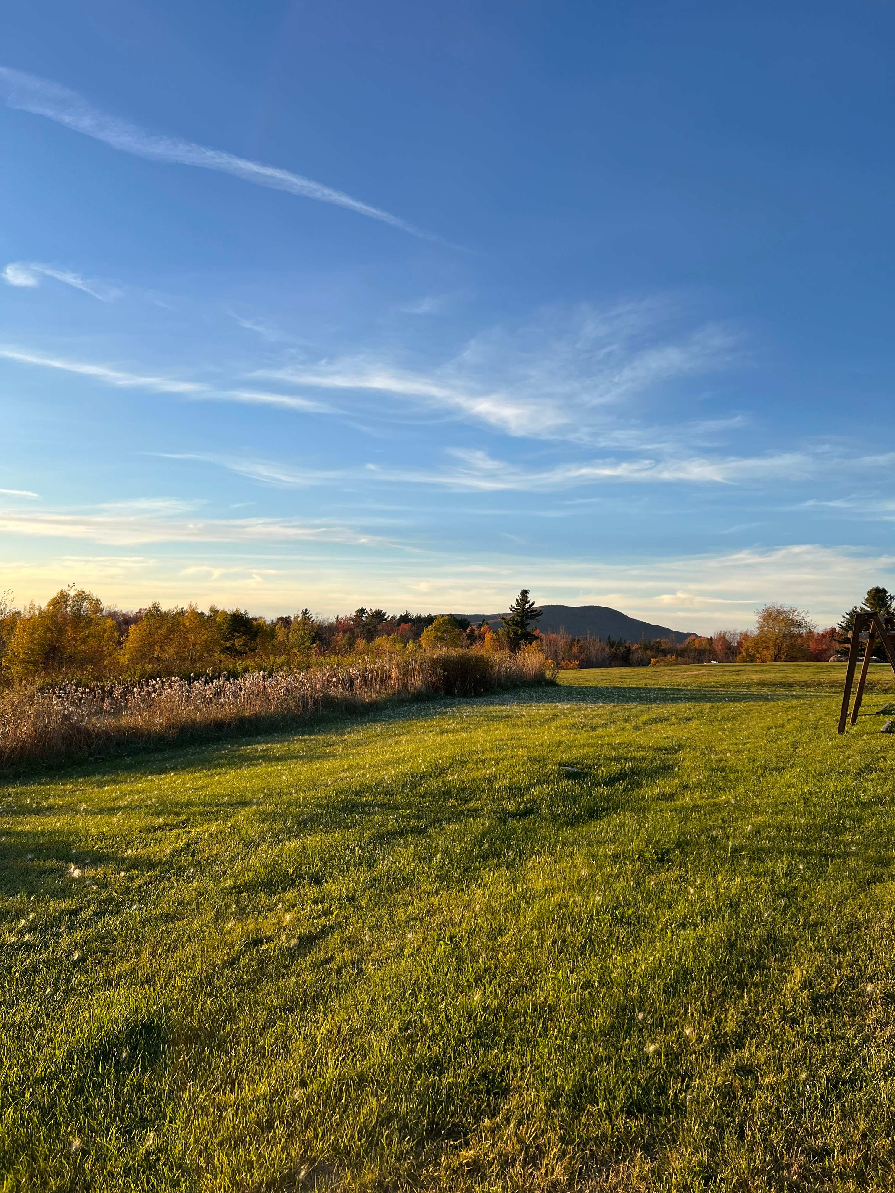 BlueberryHill  Field Camp