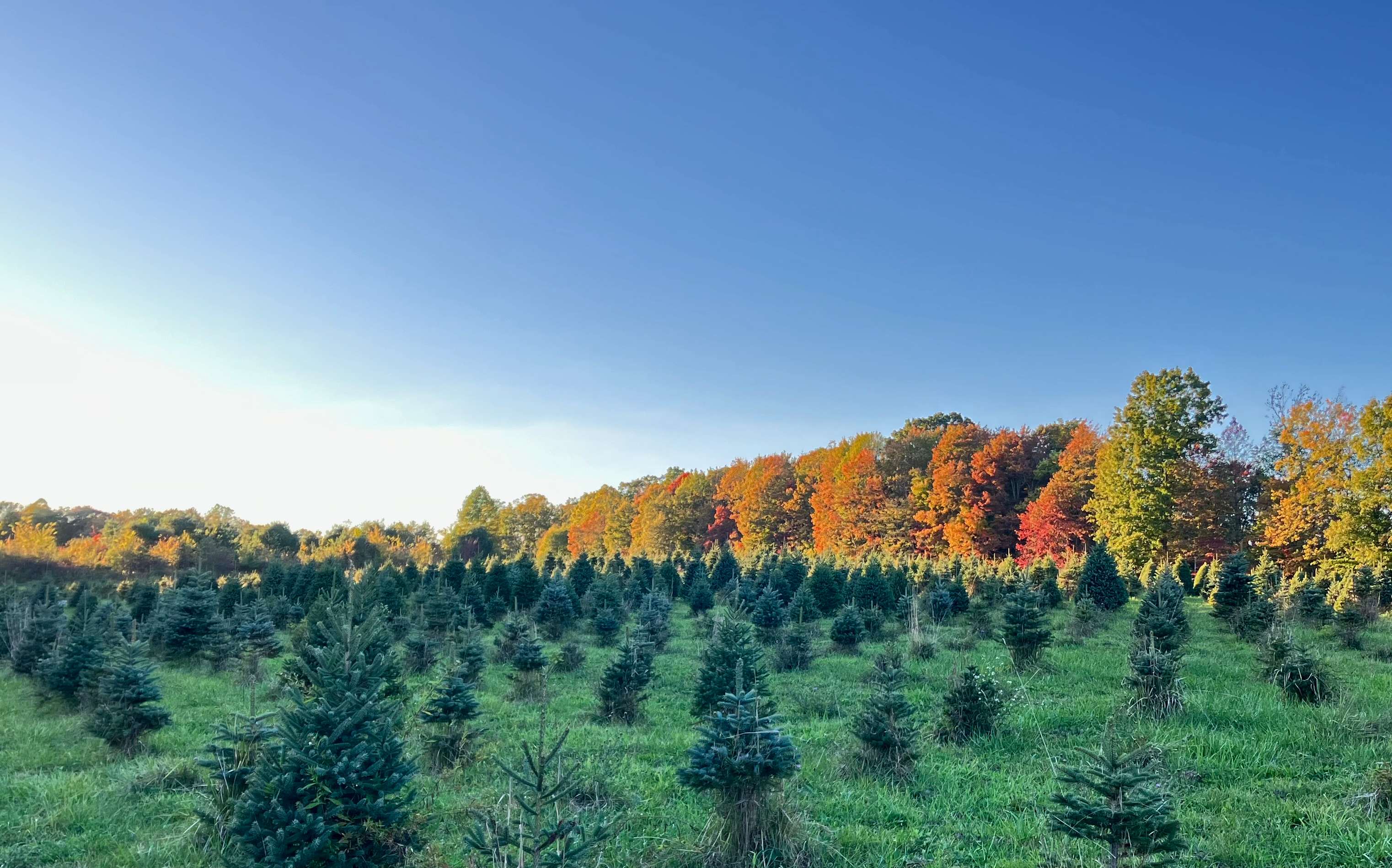 Camping at Heritage Farms