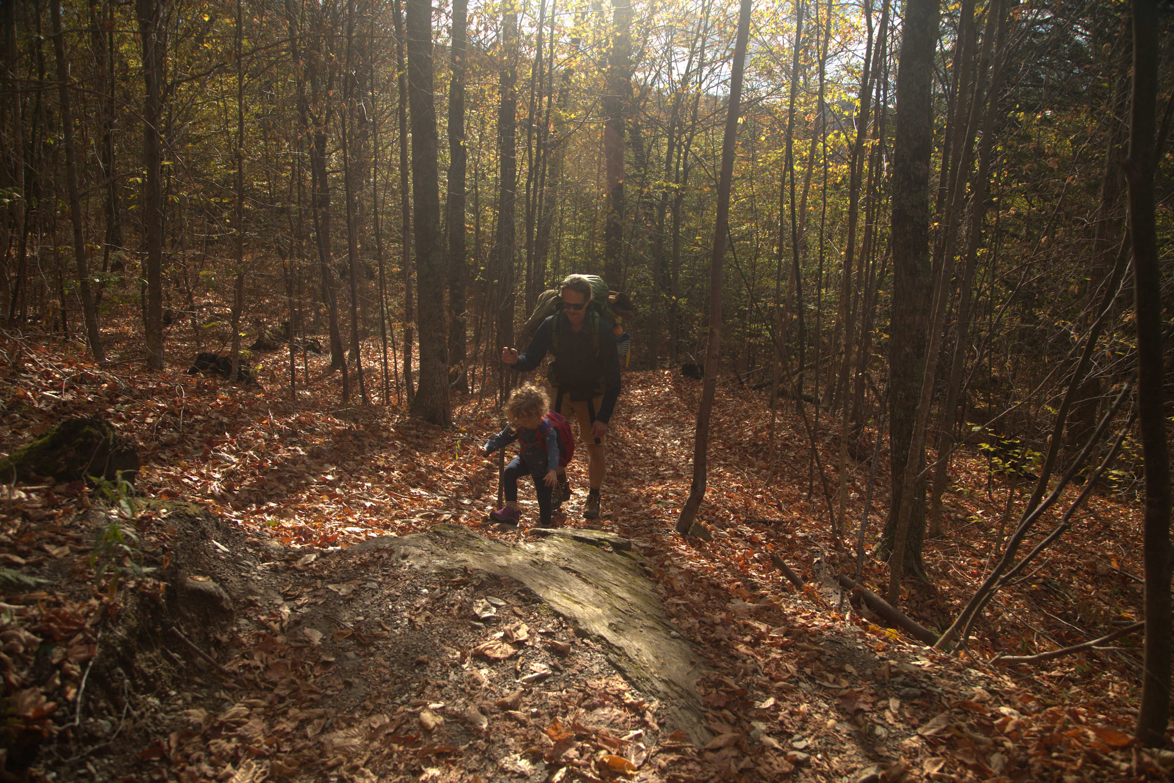 the only rock on the trail up!
