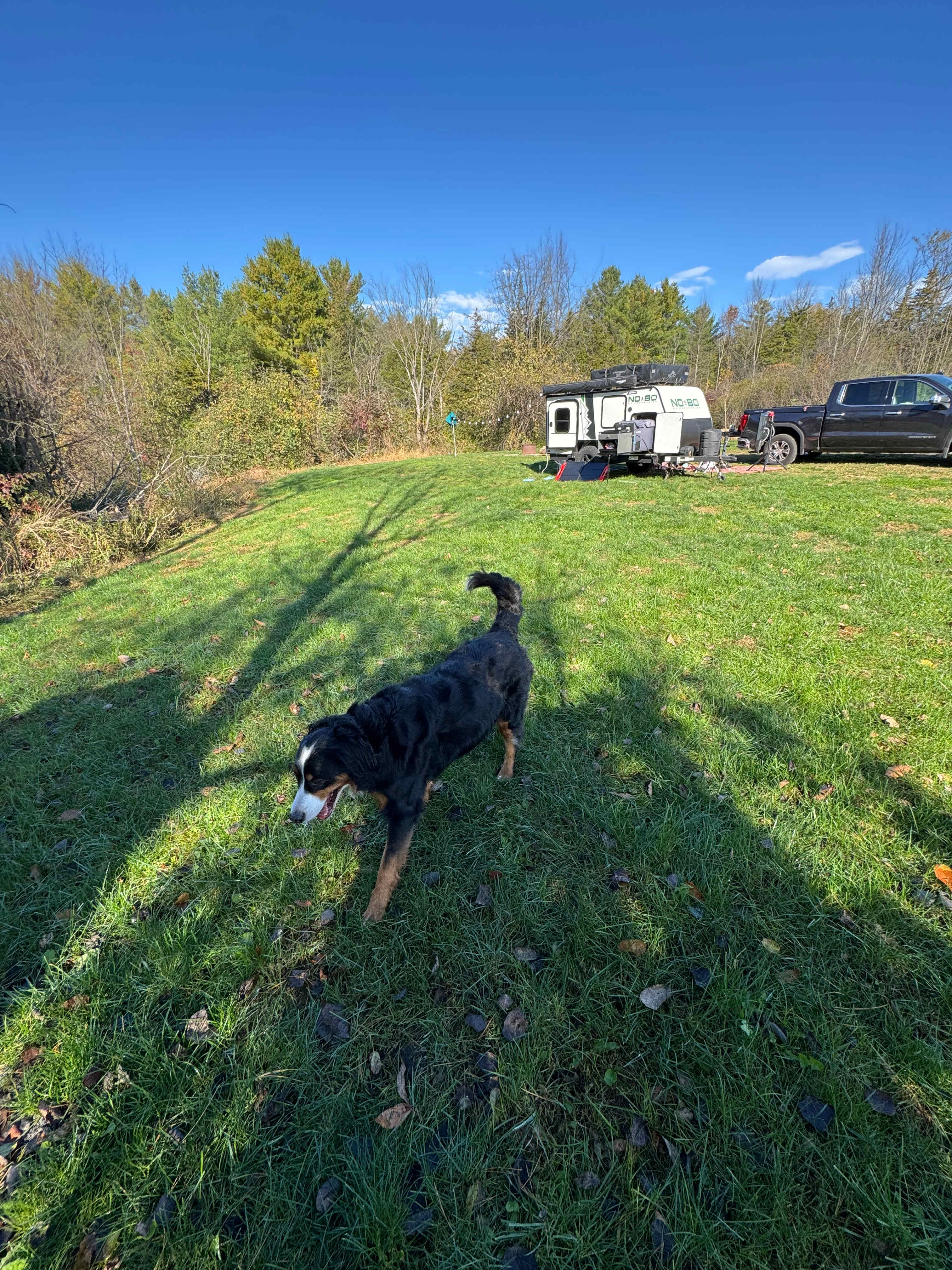 Peaceful Country Haven