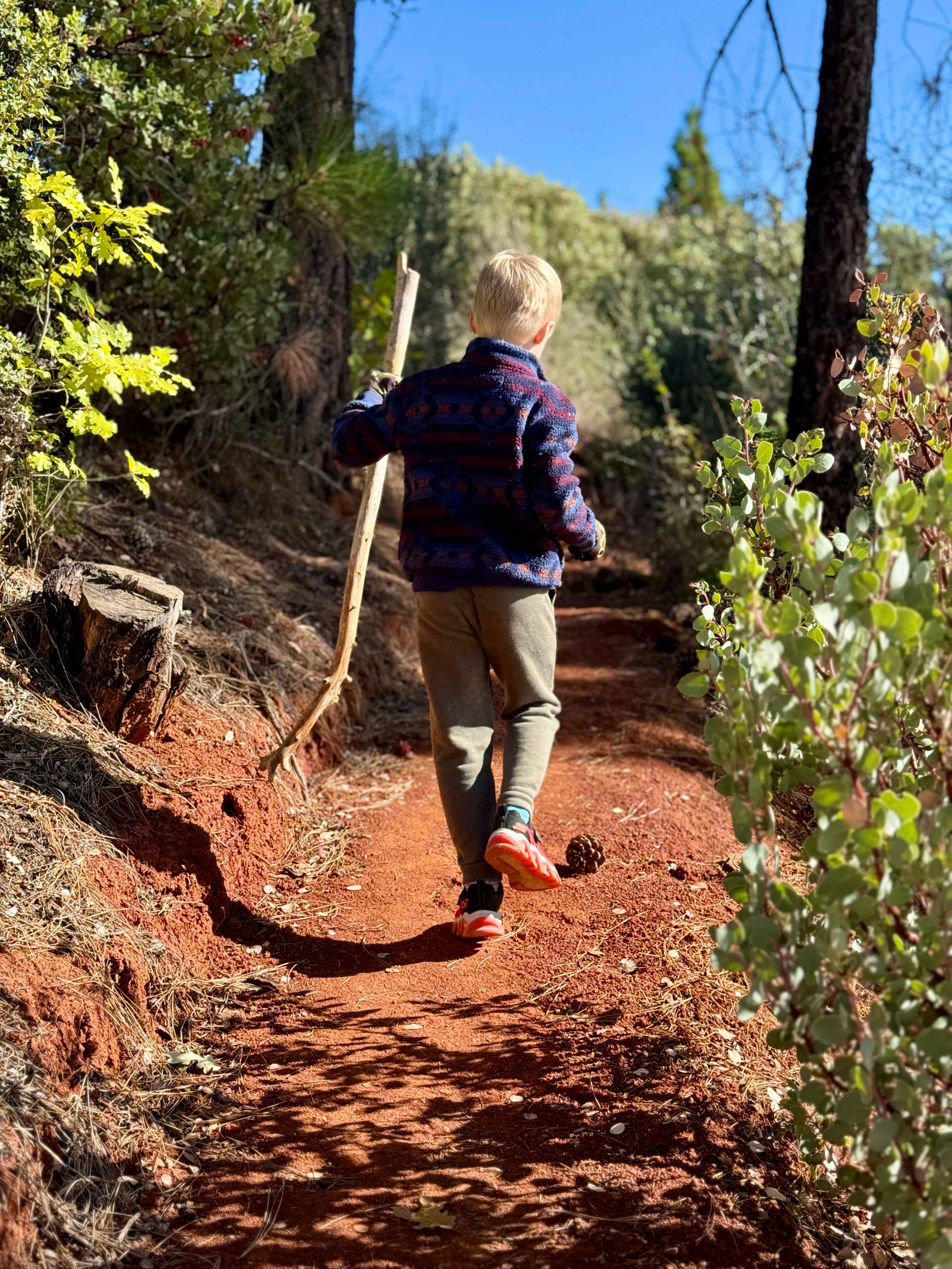 Yosemite Colfax Spring