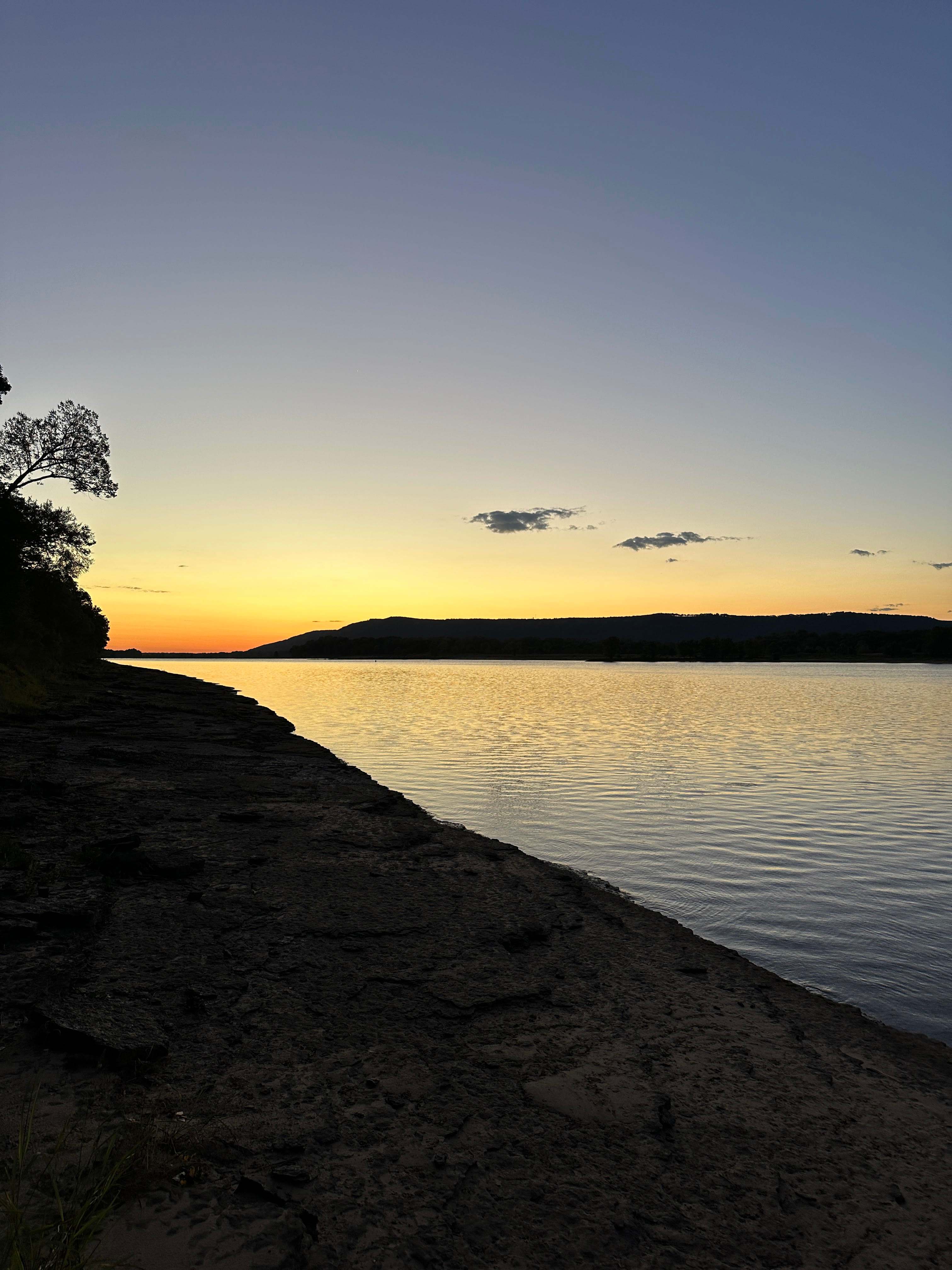 Site 1 in the morning