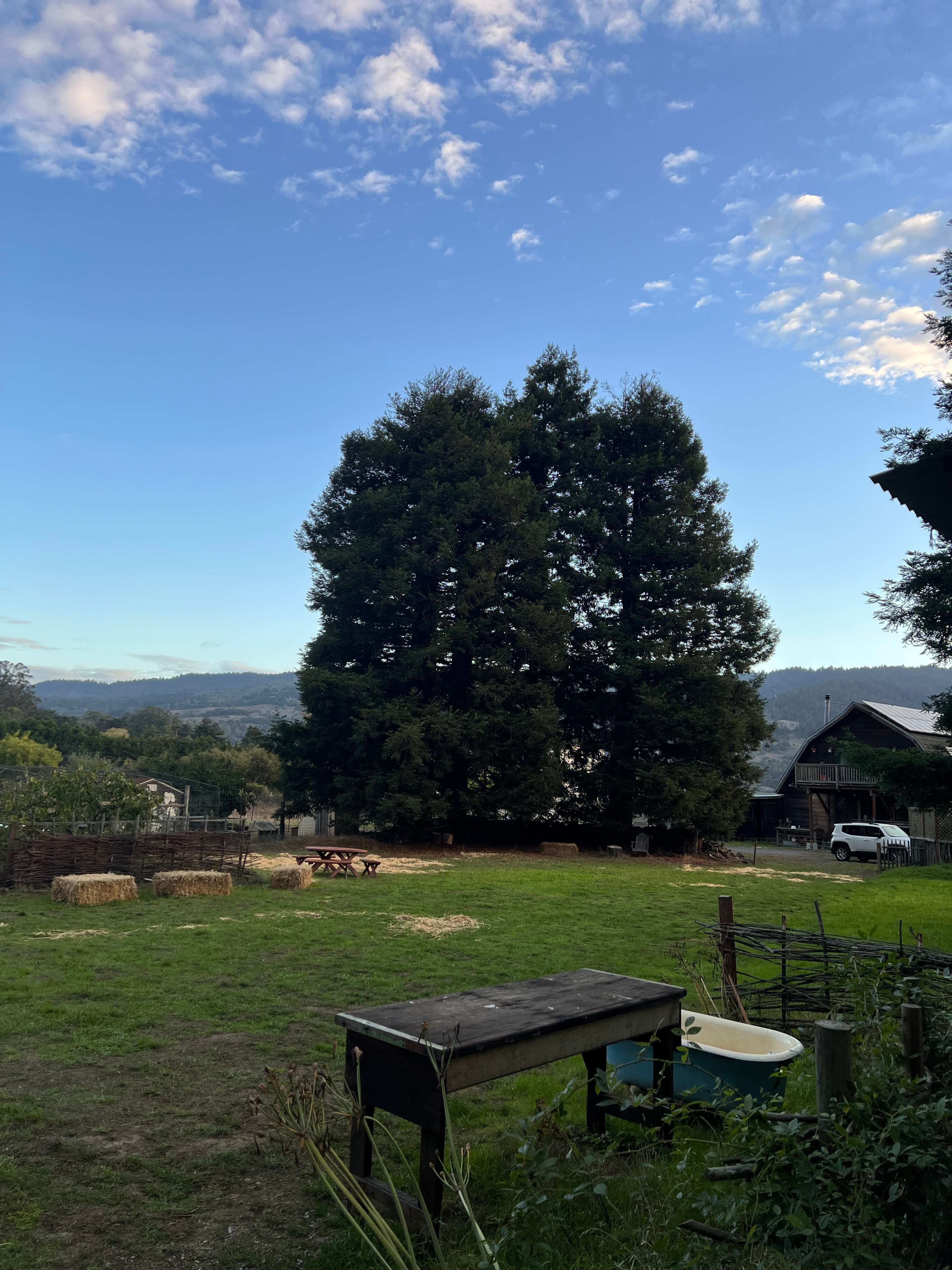Meadow camping in Bolinas