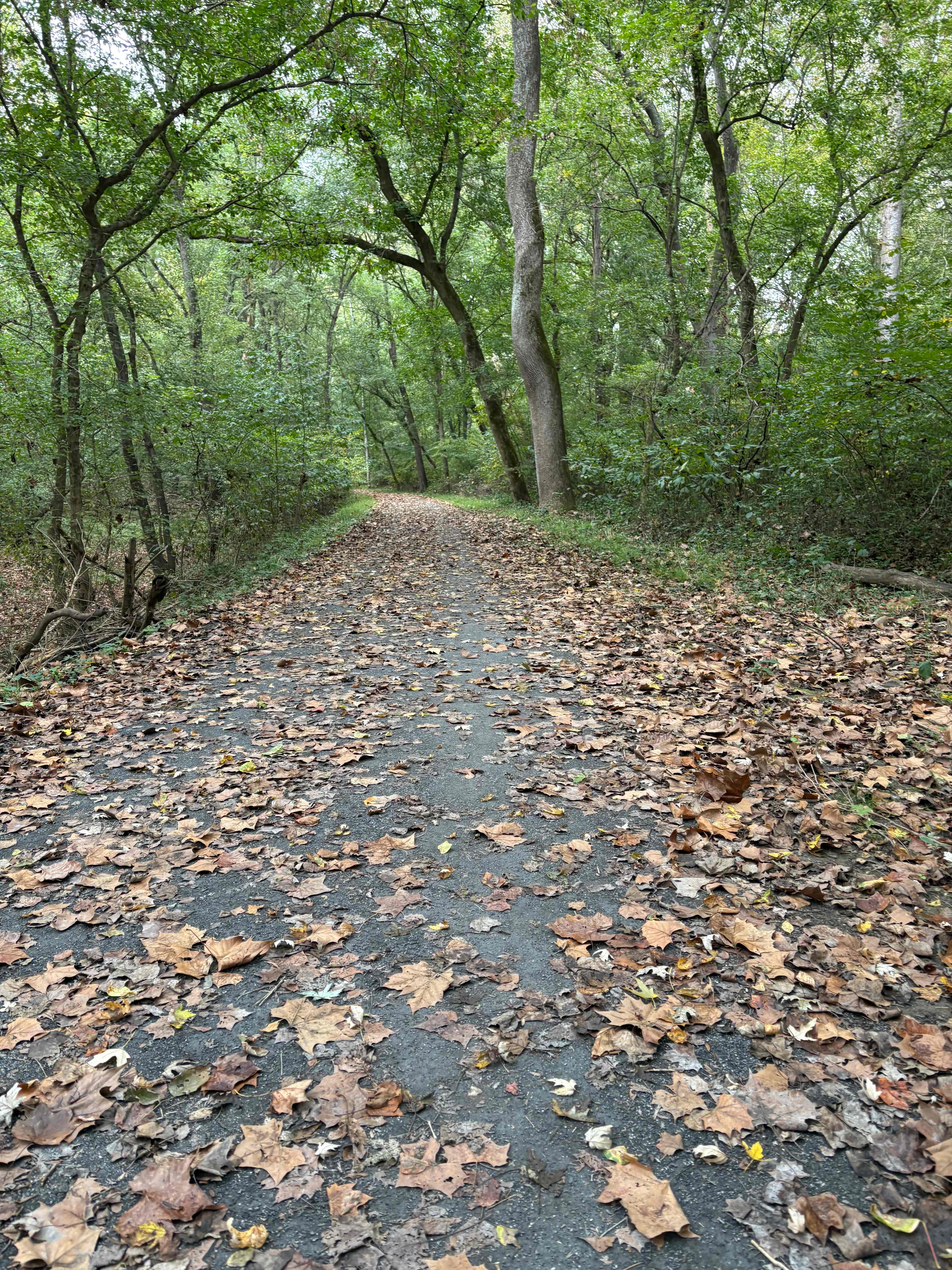 Taylors Landing Camping Club