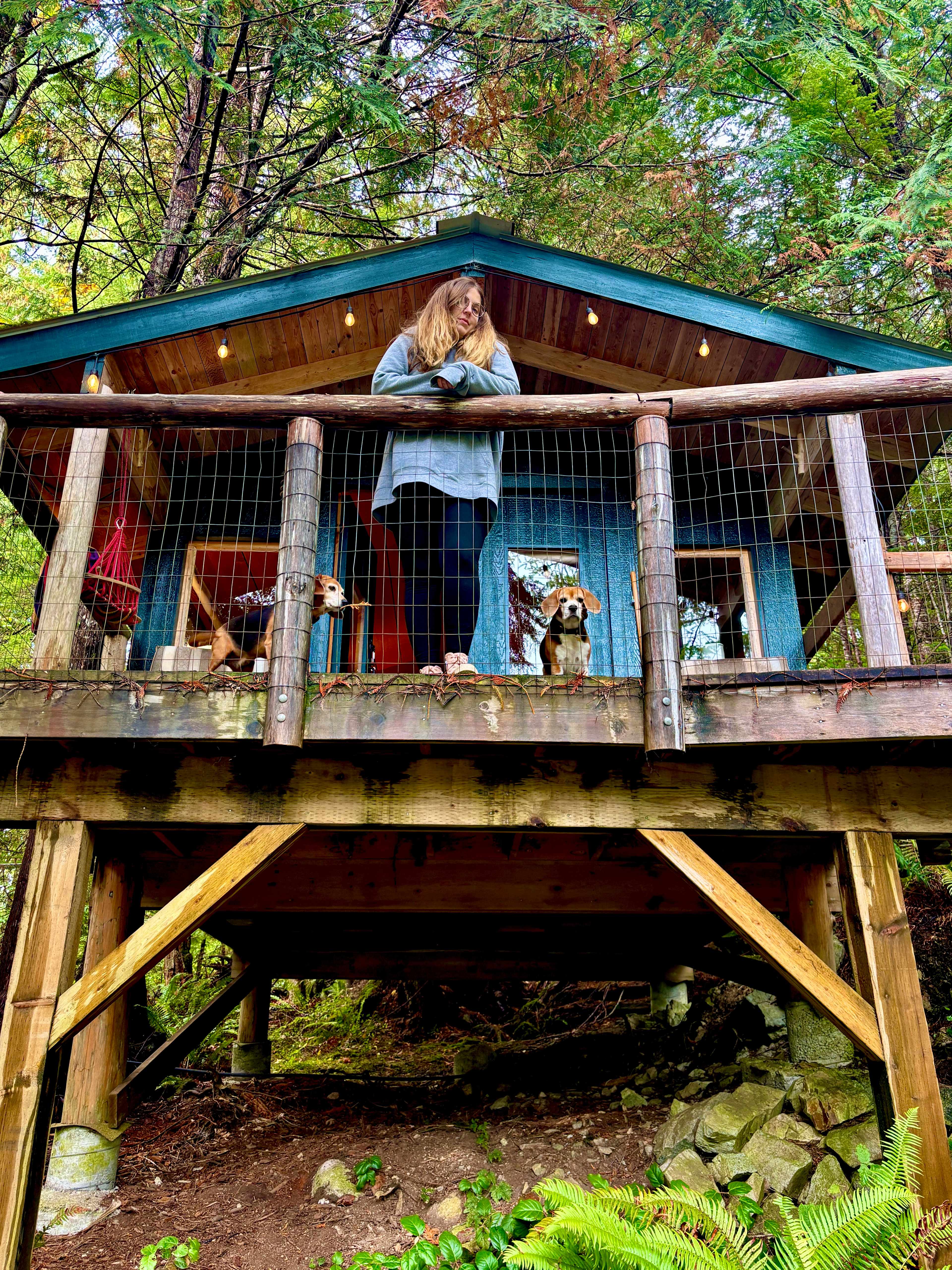 Strongwater Camping and Cabins