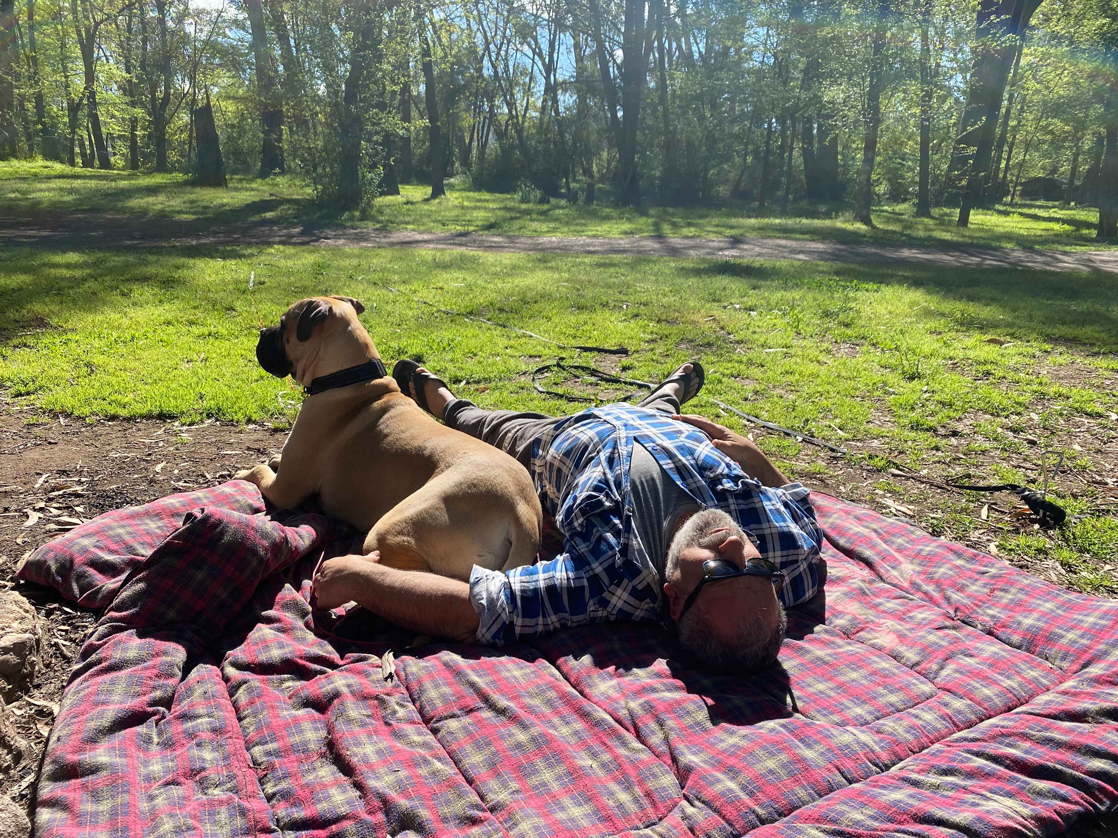 Sleeping under the trees