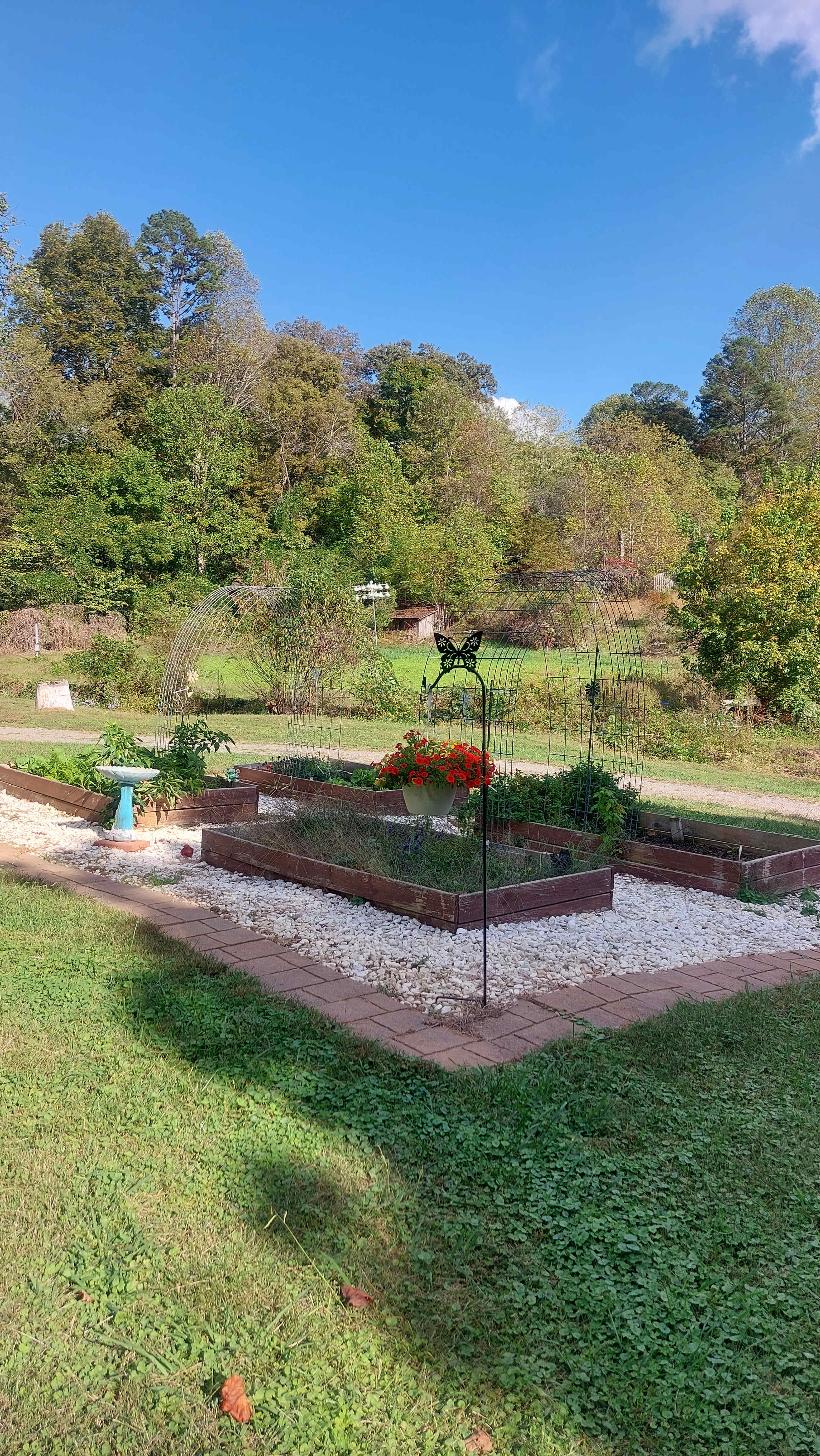 Relaxing at the fire pit. 