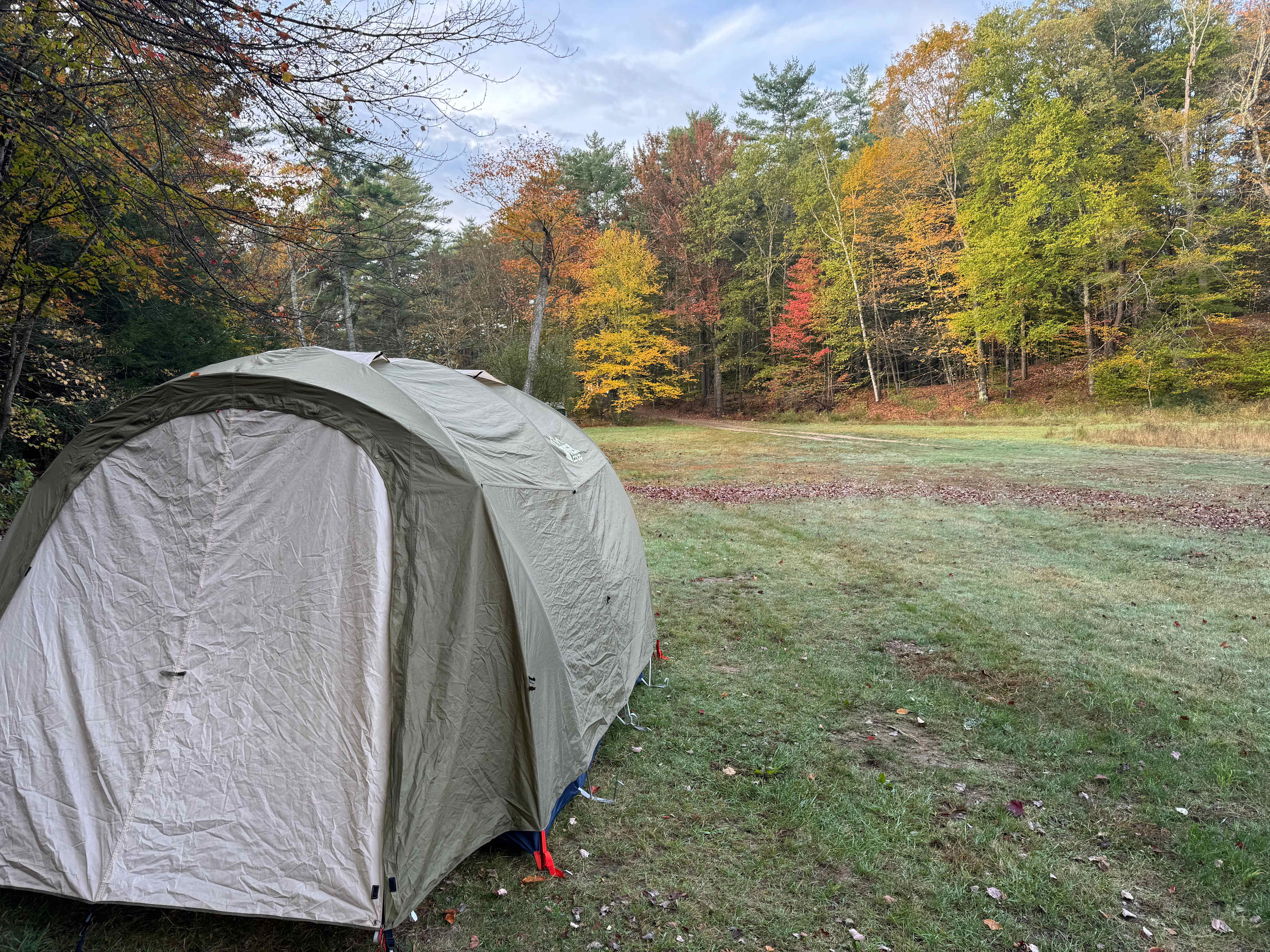 Pitch Perfect at Canterbrook