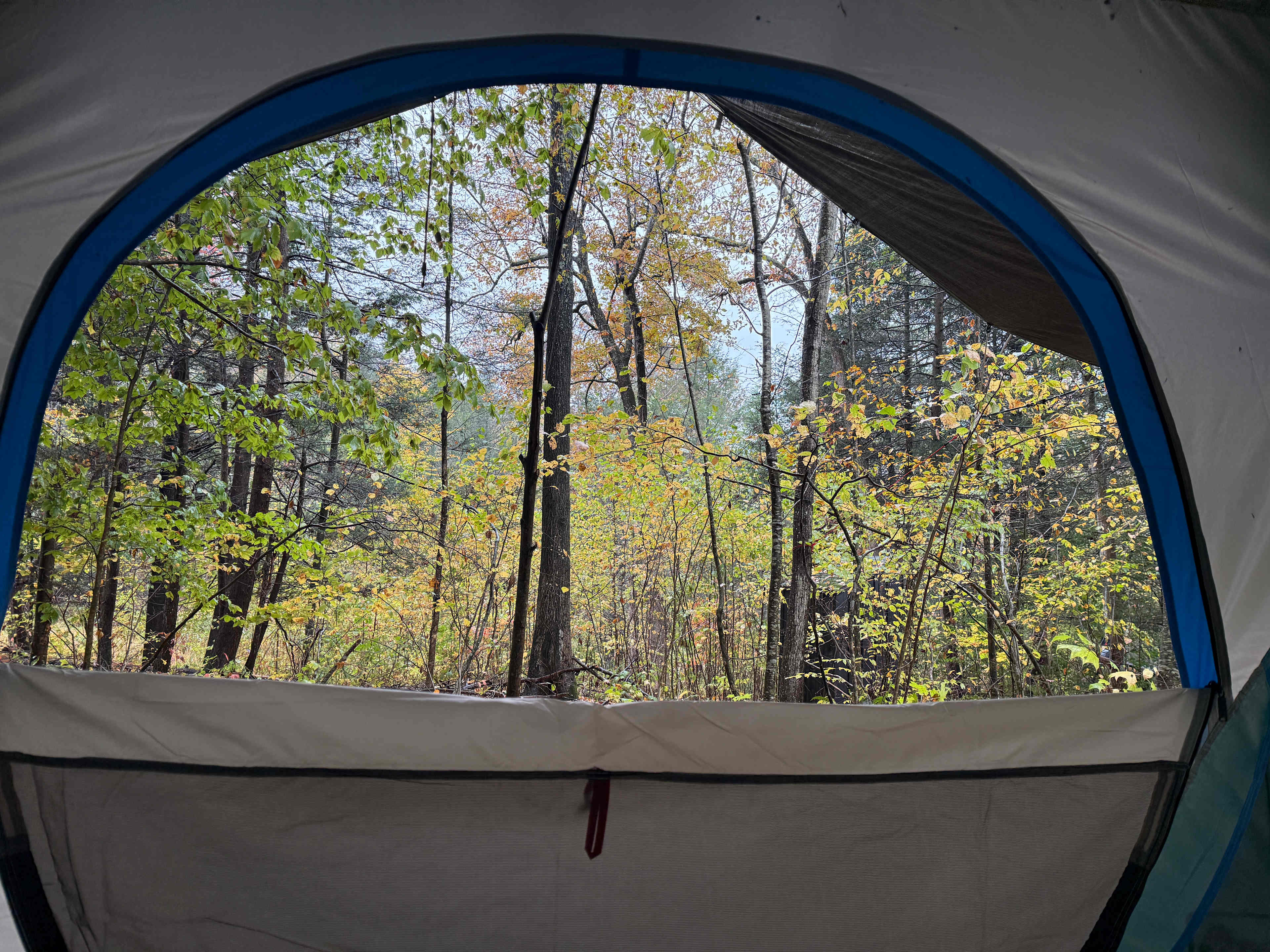 the view from the other tent :)