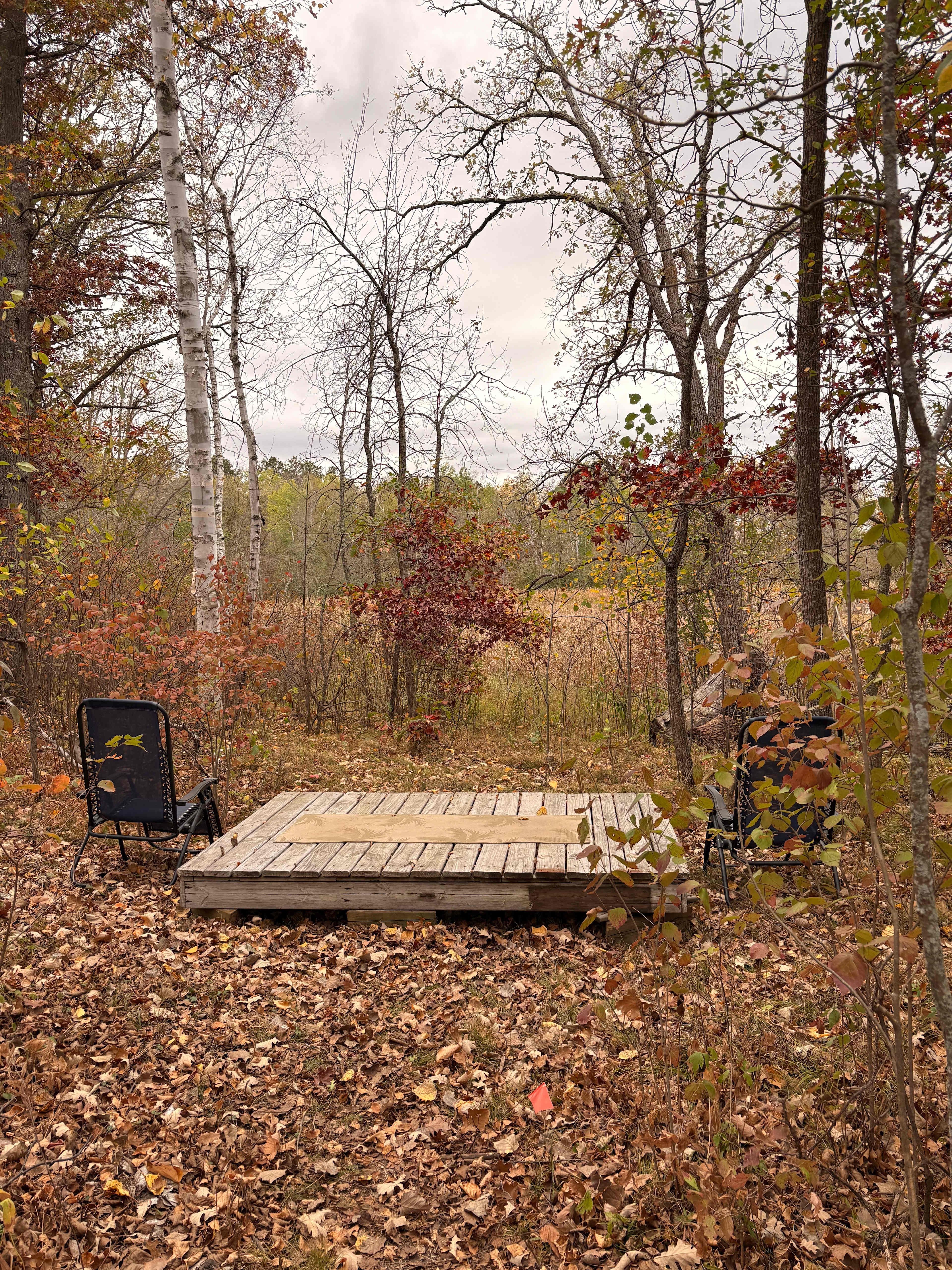 Goldie The Caboose - Nevis MN