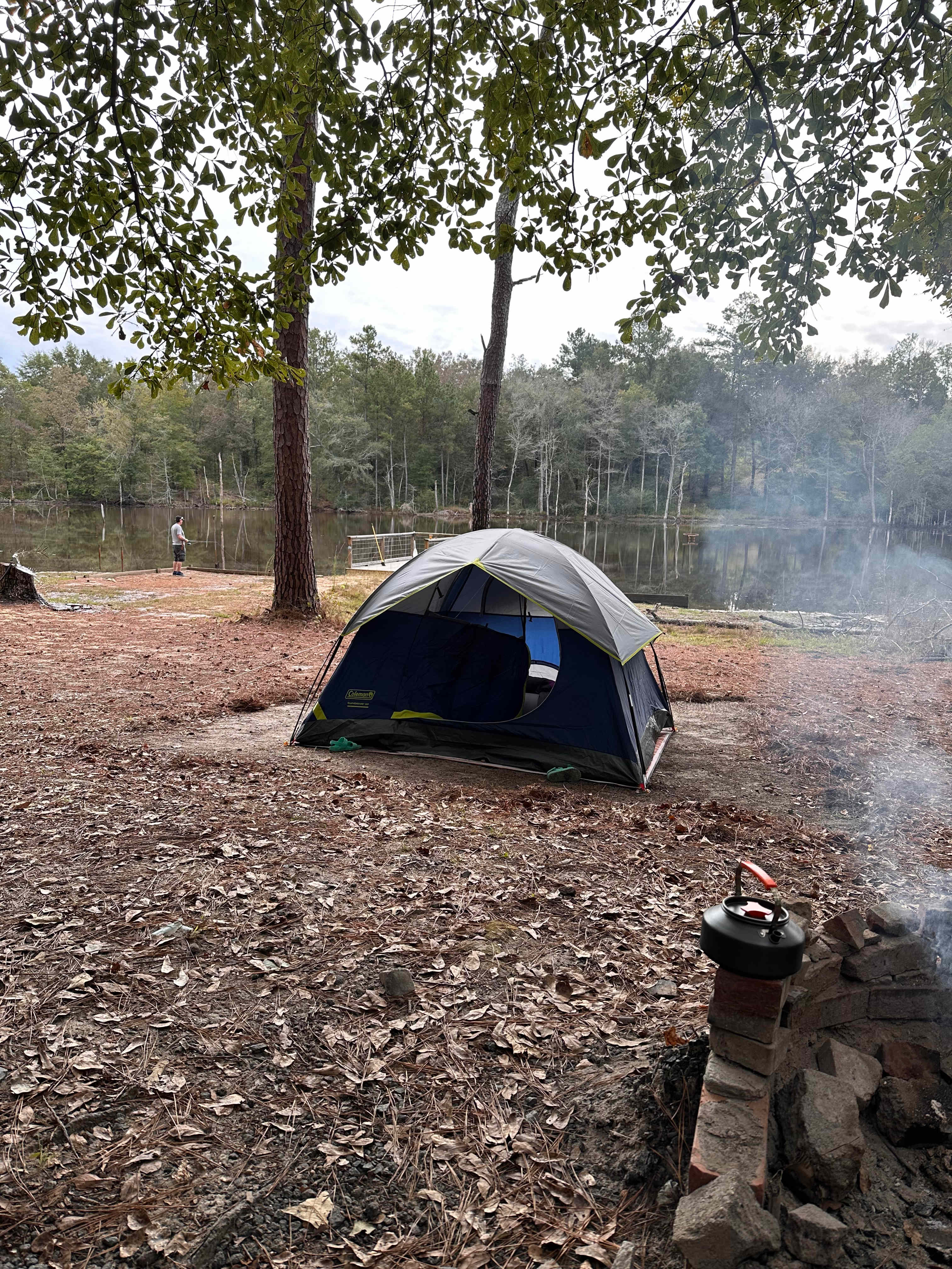 The Hollow: Off-Grid Paradise