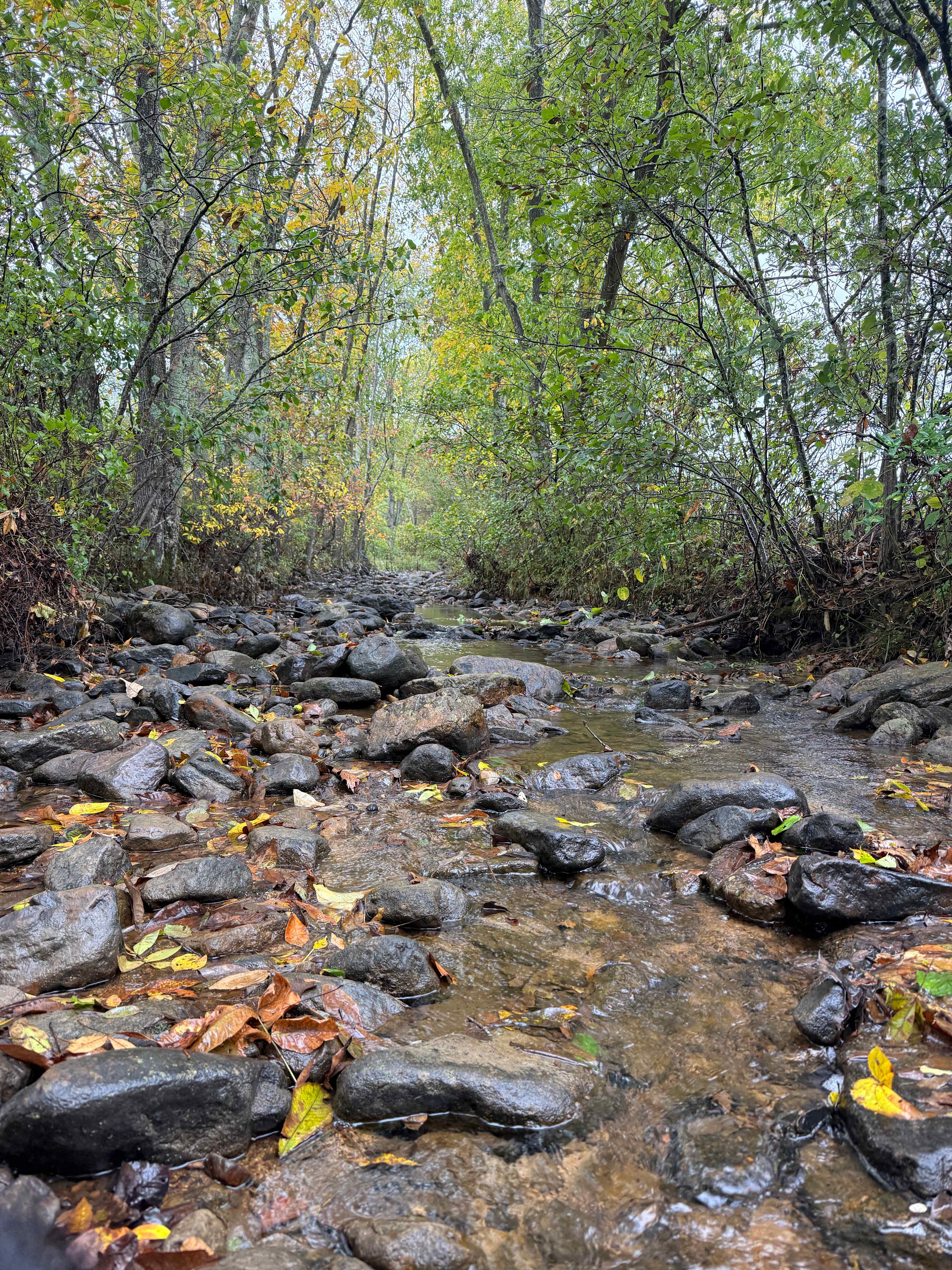 Faithful Harvest Farm Camping