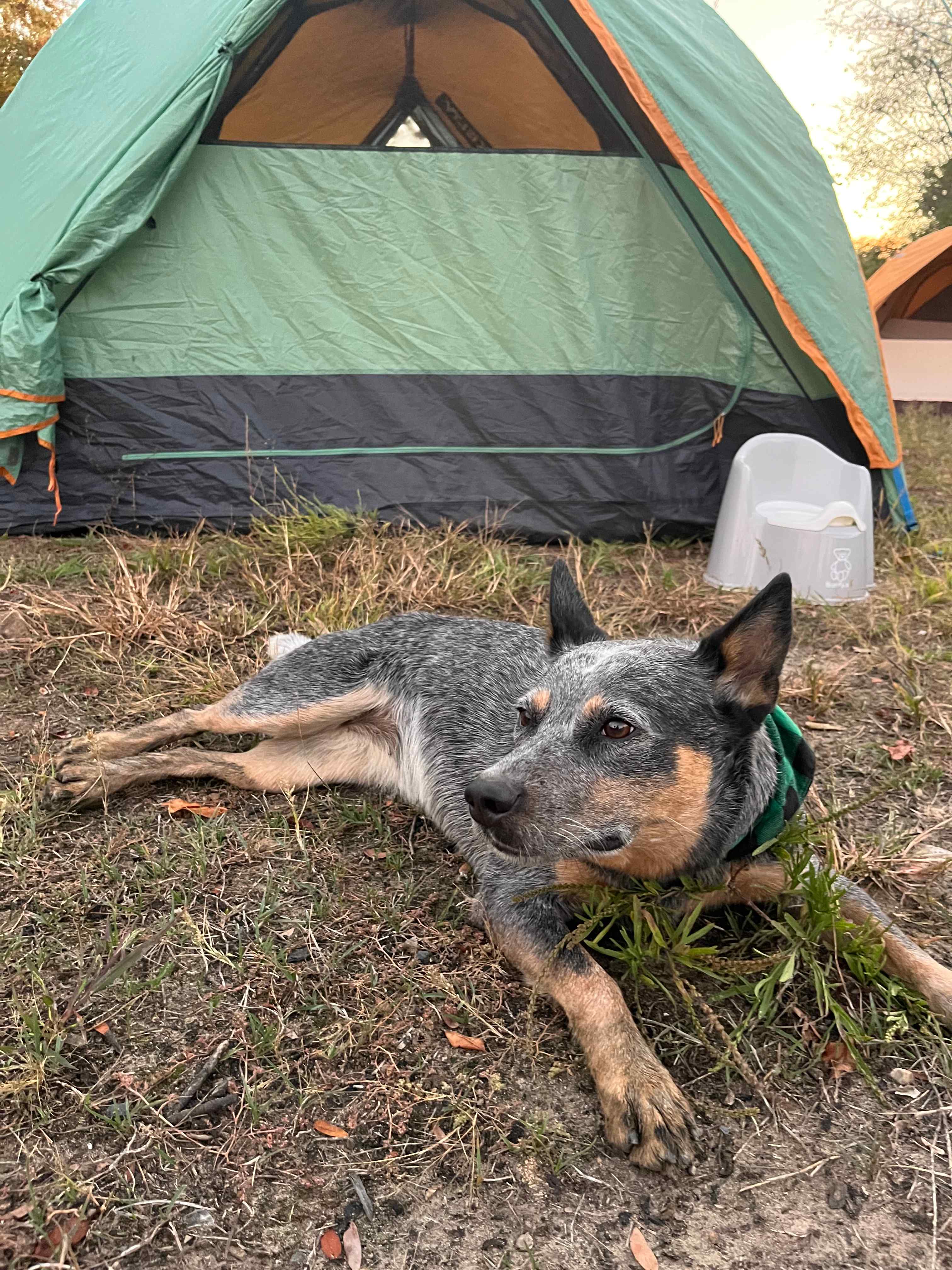 East Woods on the IL River