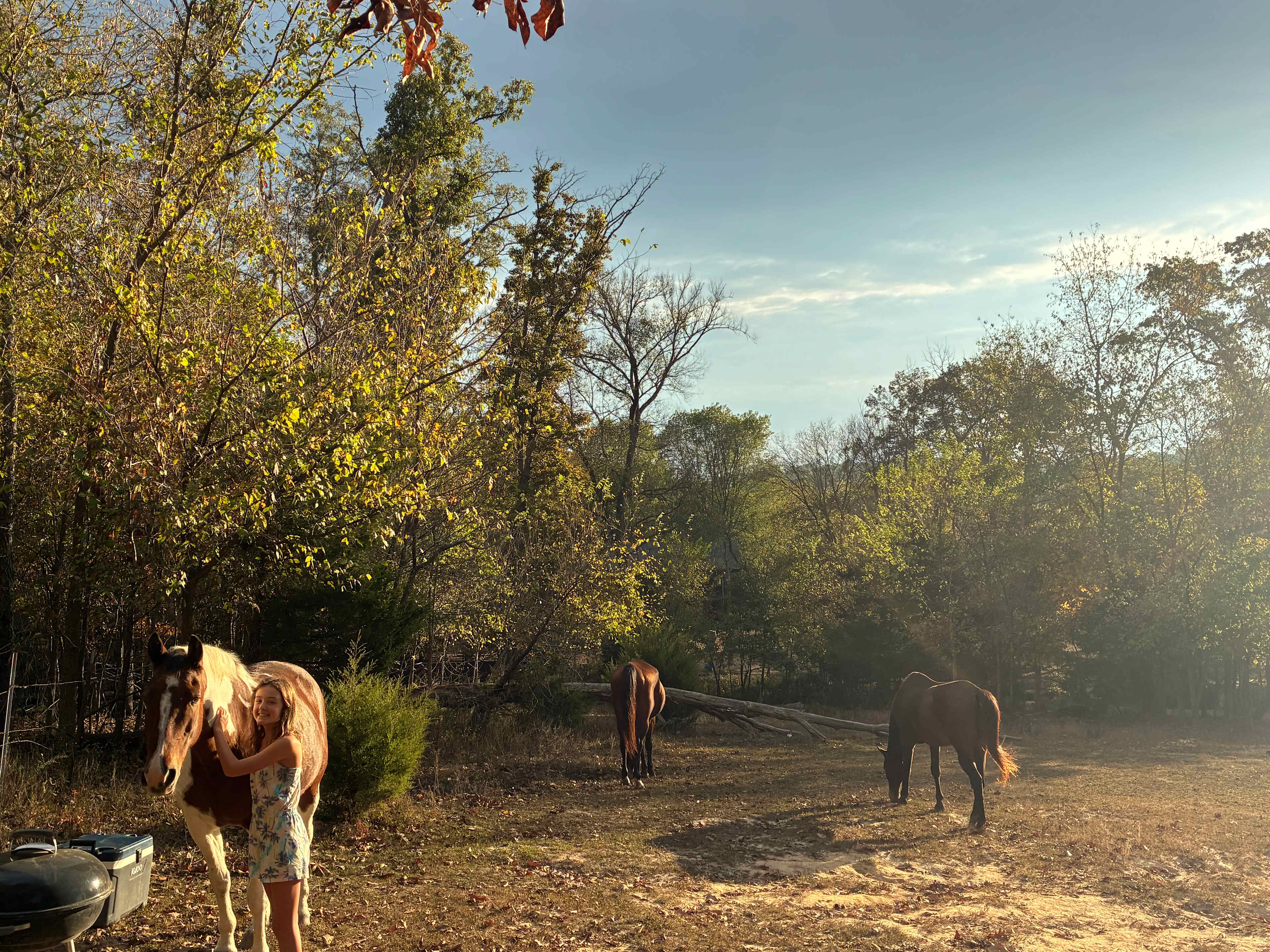 Hummingbird Hollow Outdoors