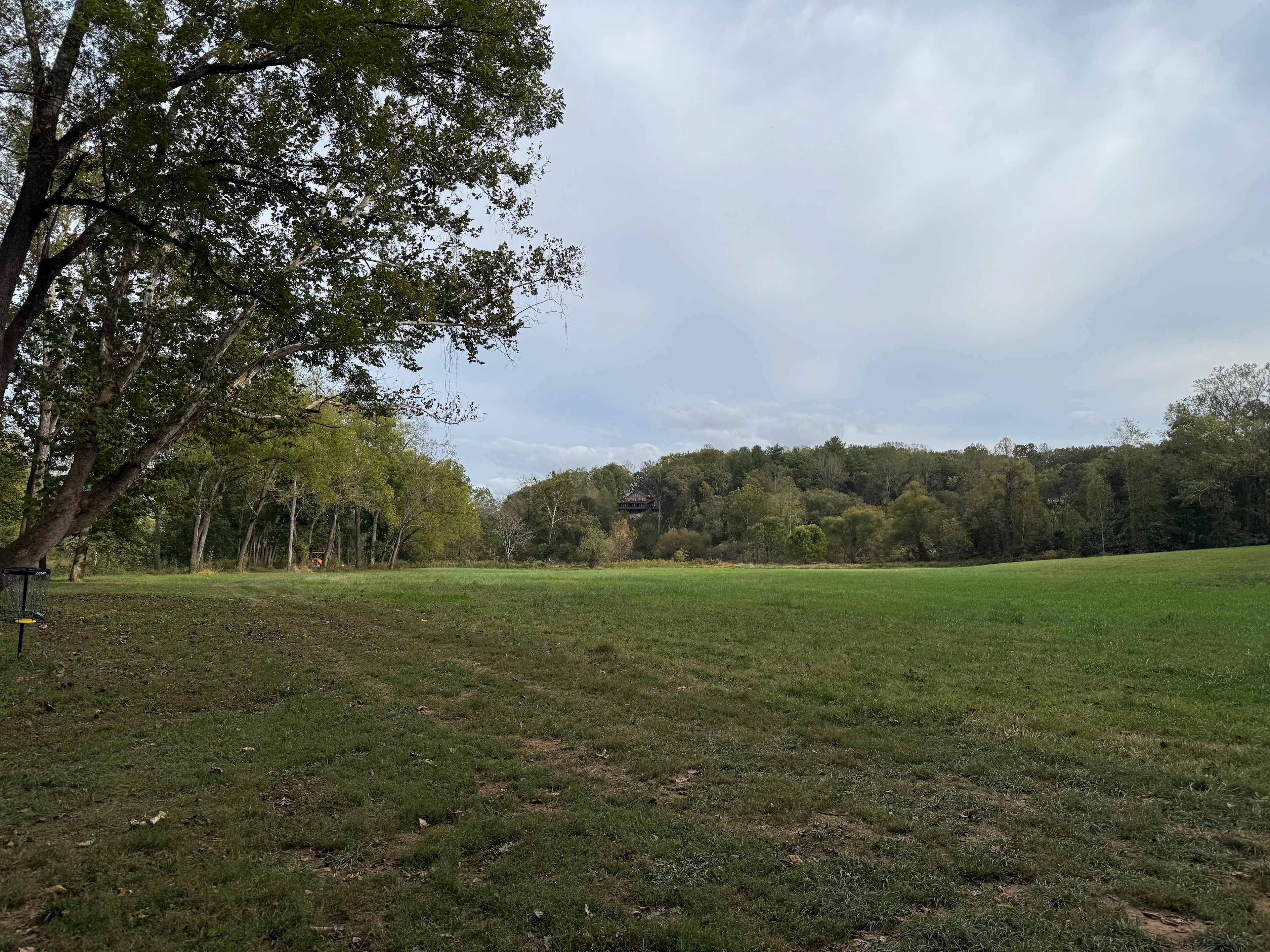 Camp meadow looking from site 1 to site 2