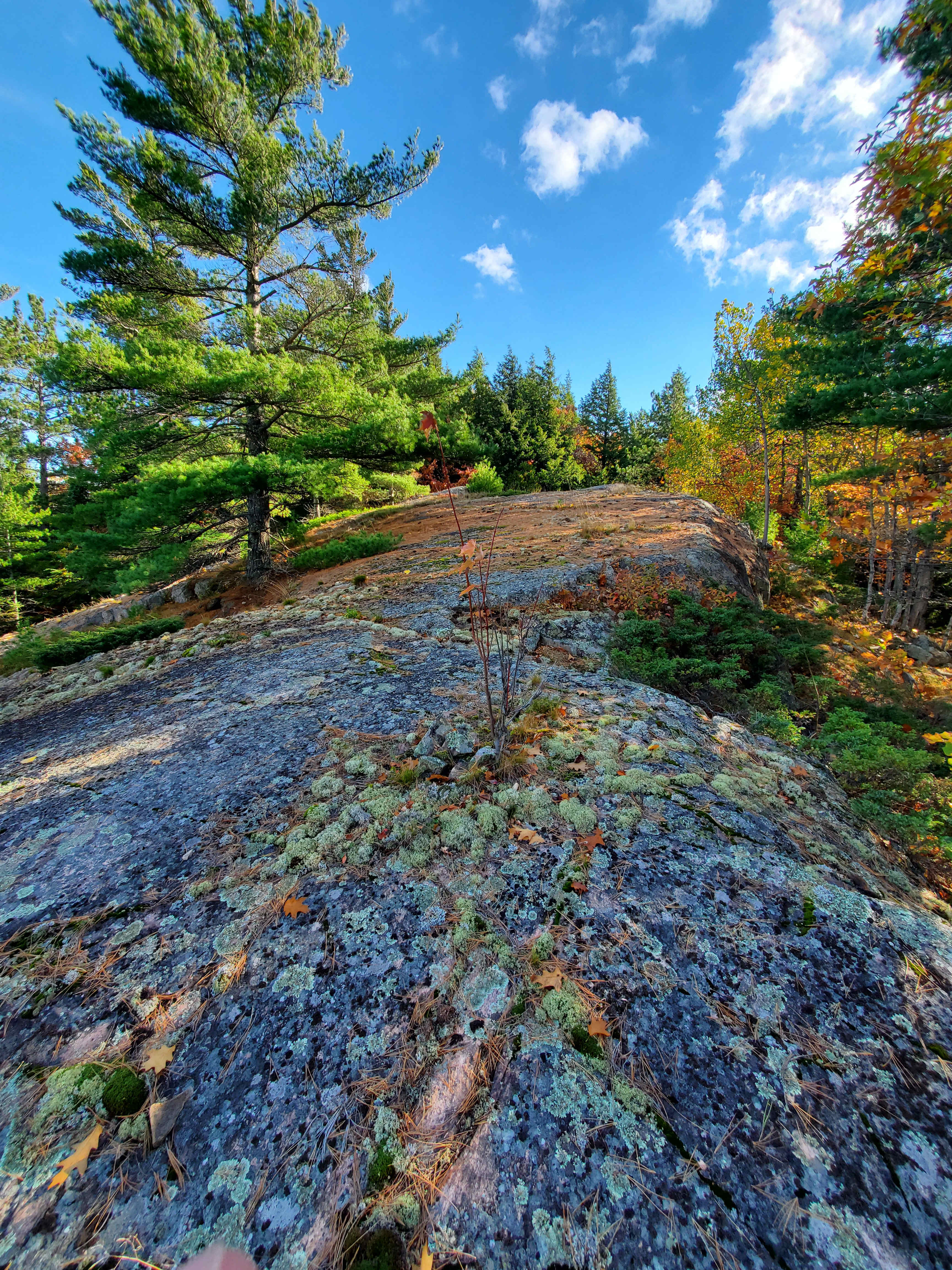 Scrambling up Hogback (10 minutes from the campsite)
