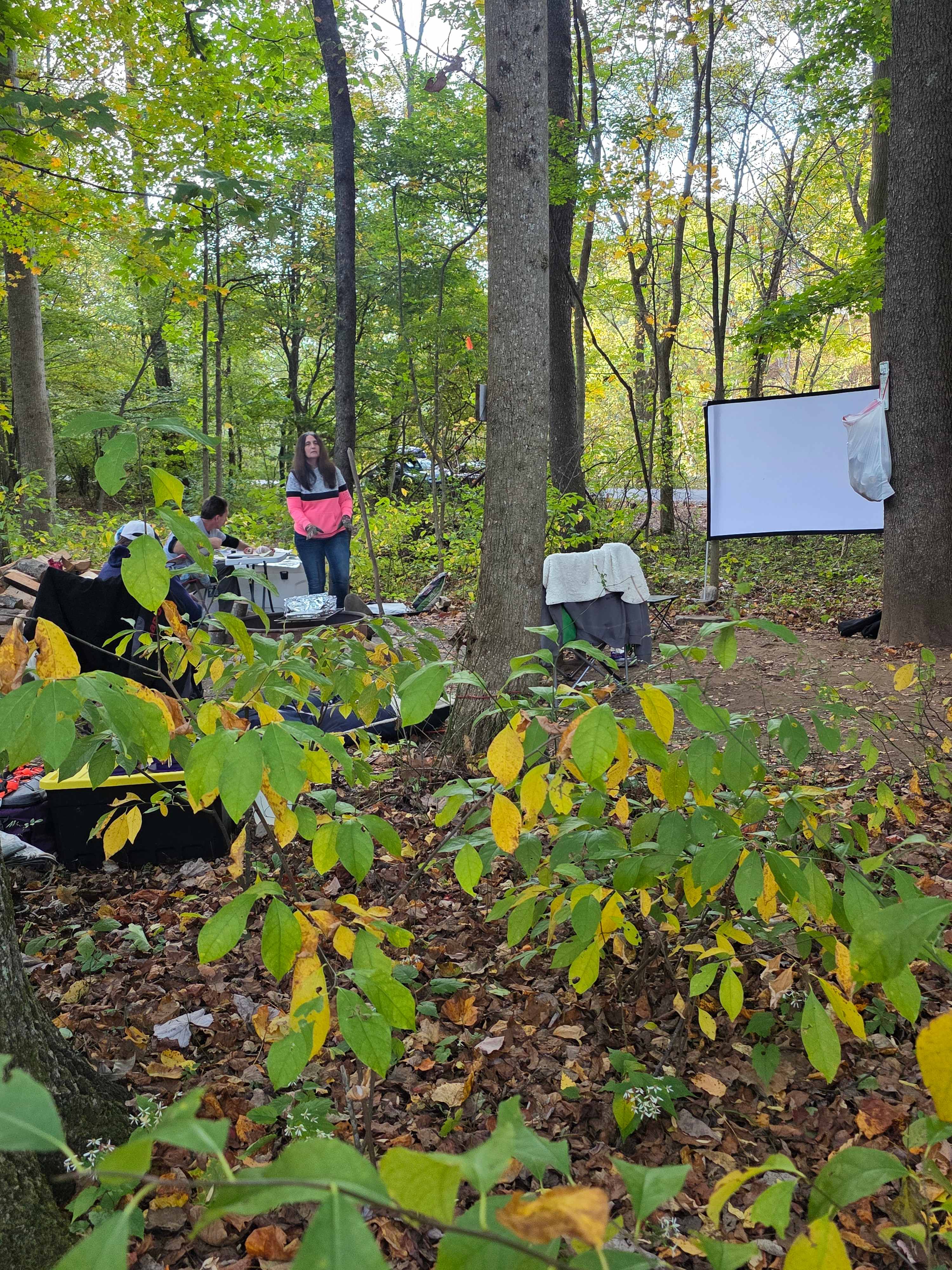 C-4 Enough space for two tents and a screen for our movie night