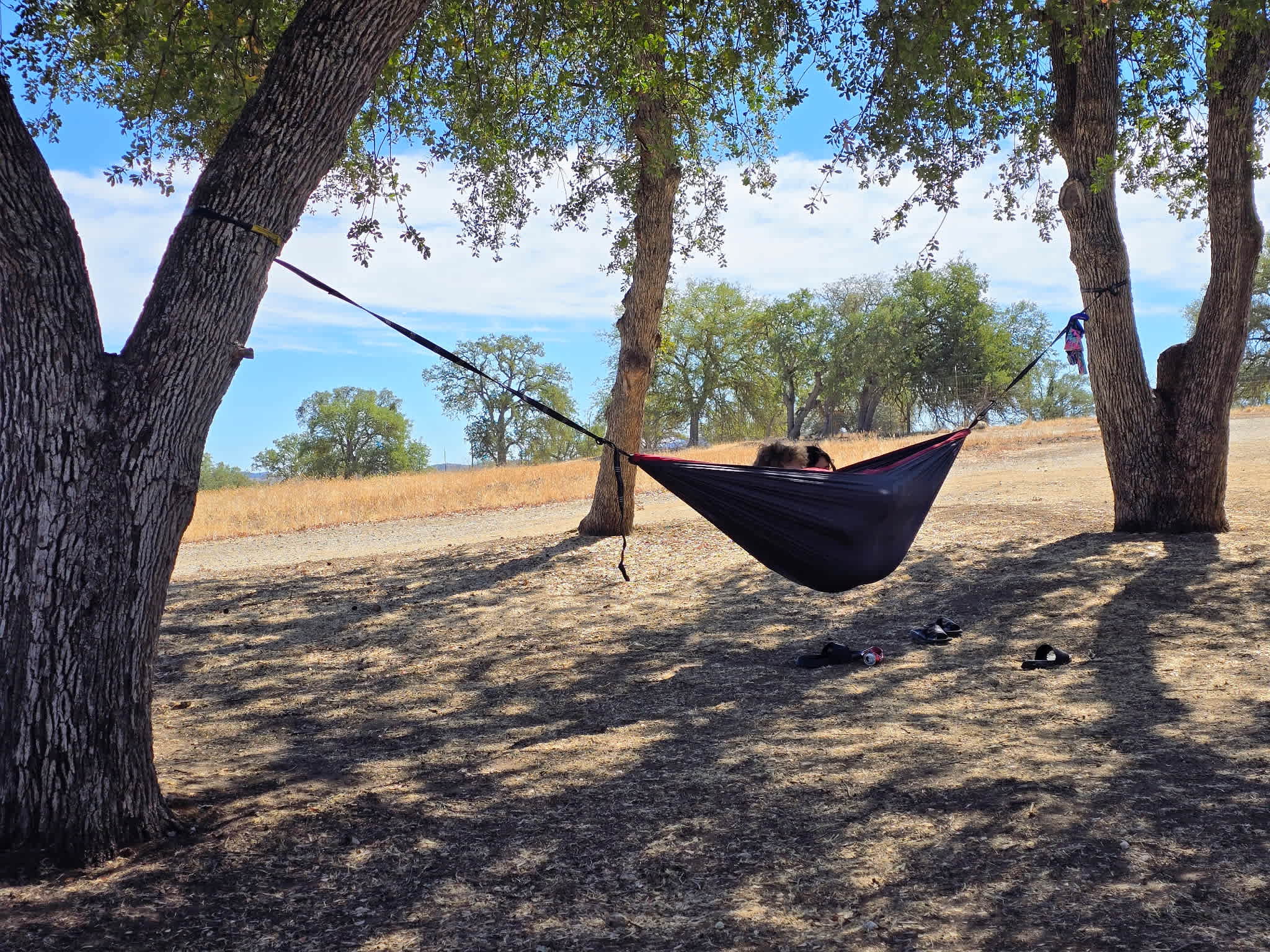 Trees perfwct for a hammock!