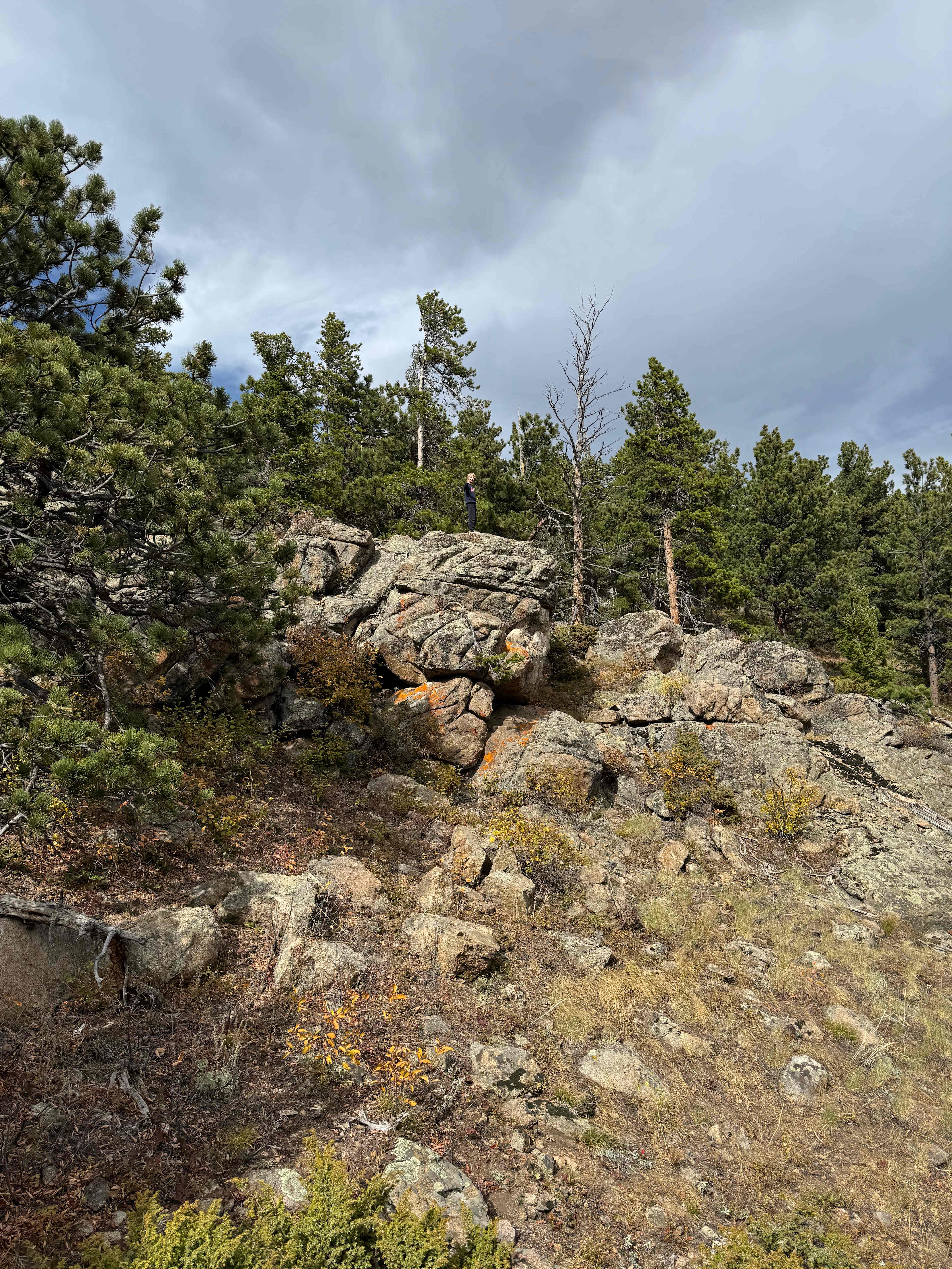 Sherwood Creek Camp and Glamp