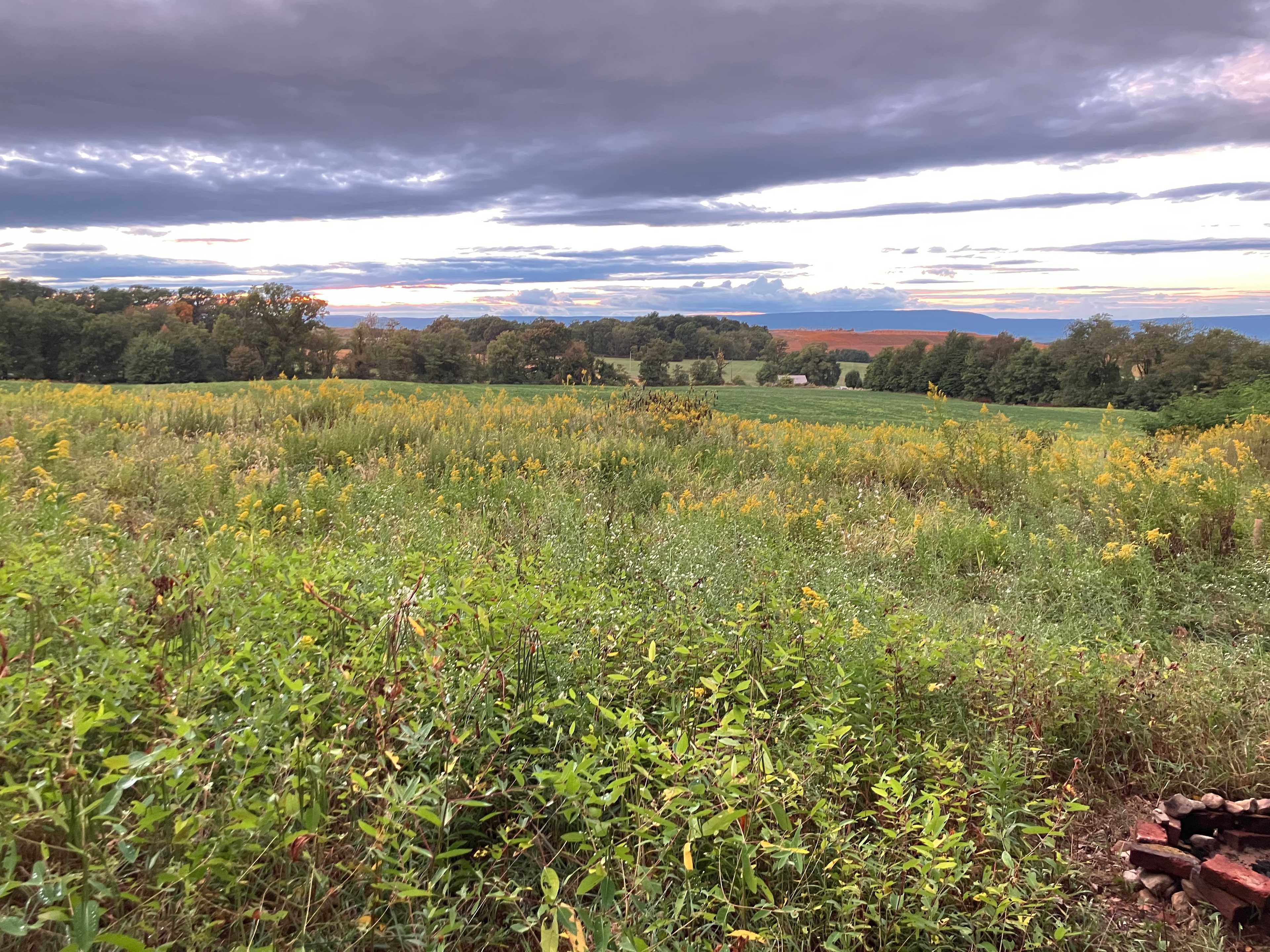 Montside Orchard Camp, Cabin&Sauna