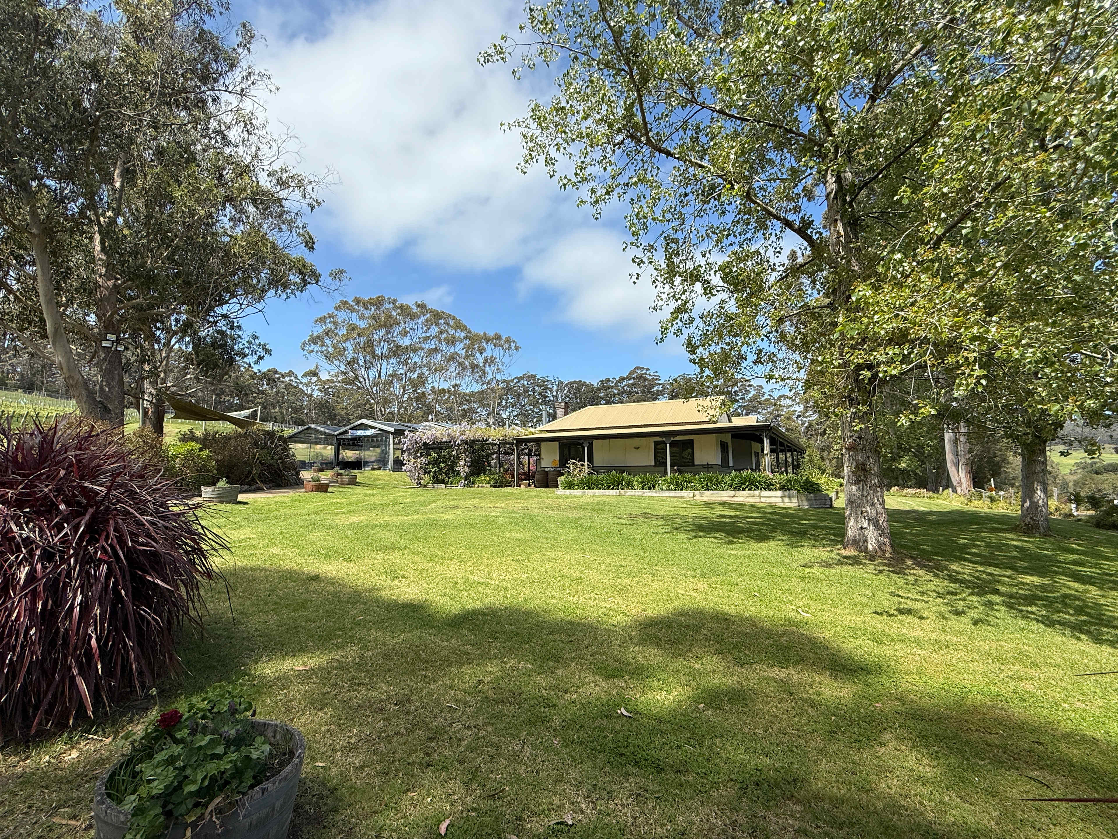 Stunning Rockcliffe Vineyard