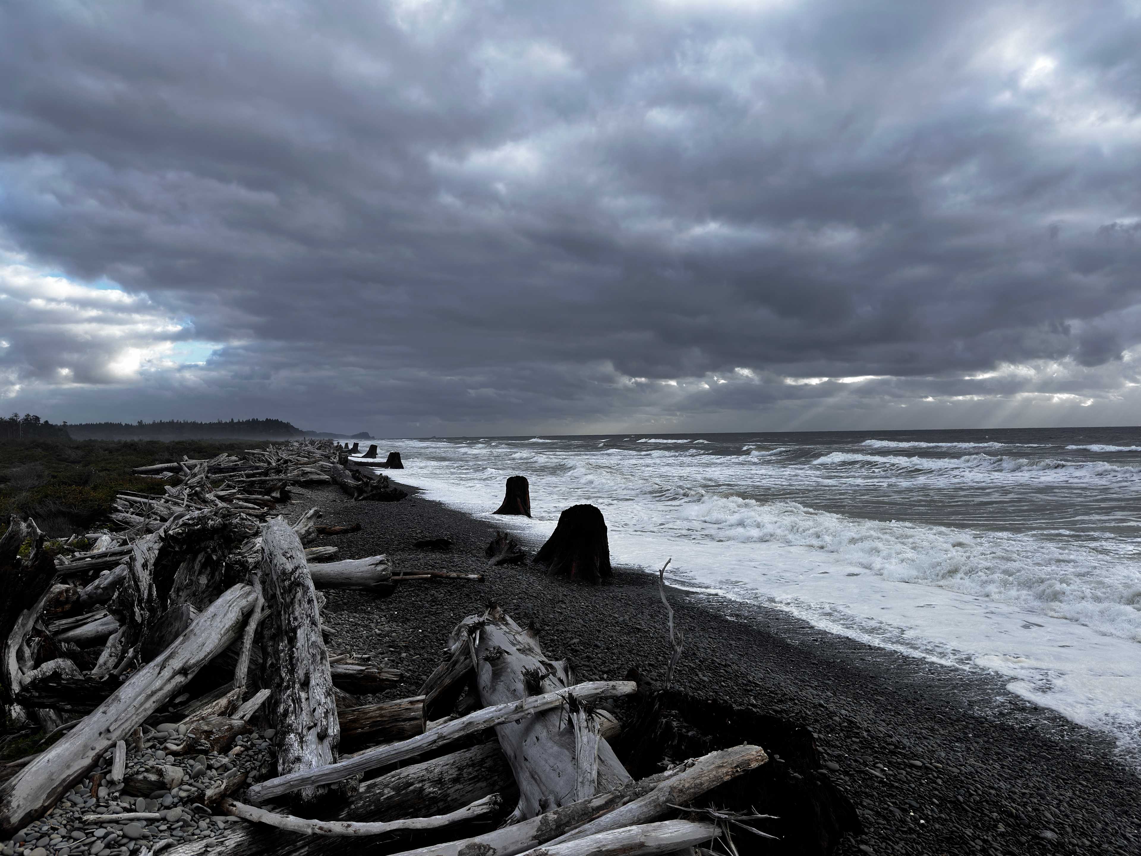 Wild WA Coast Lookout ($75 - $125)