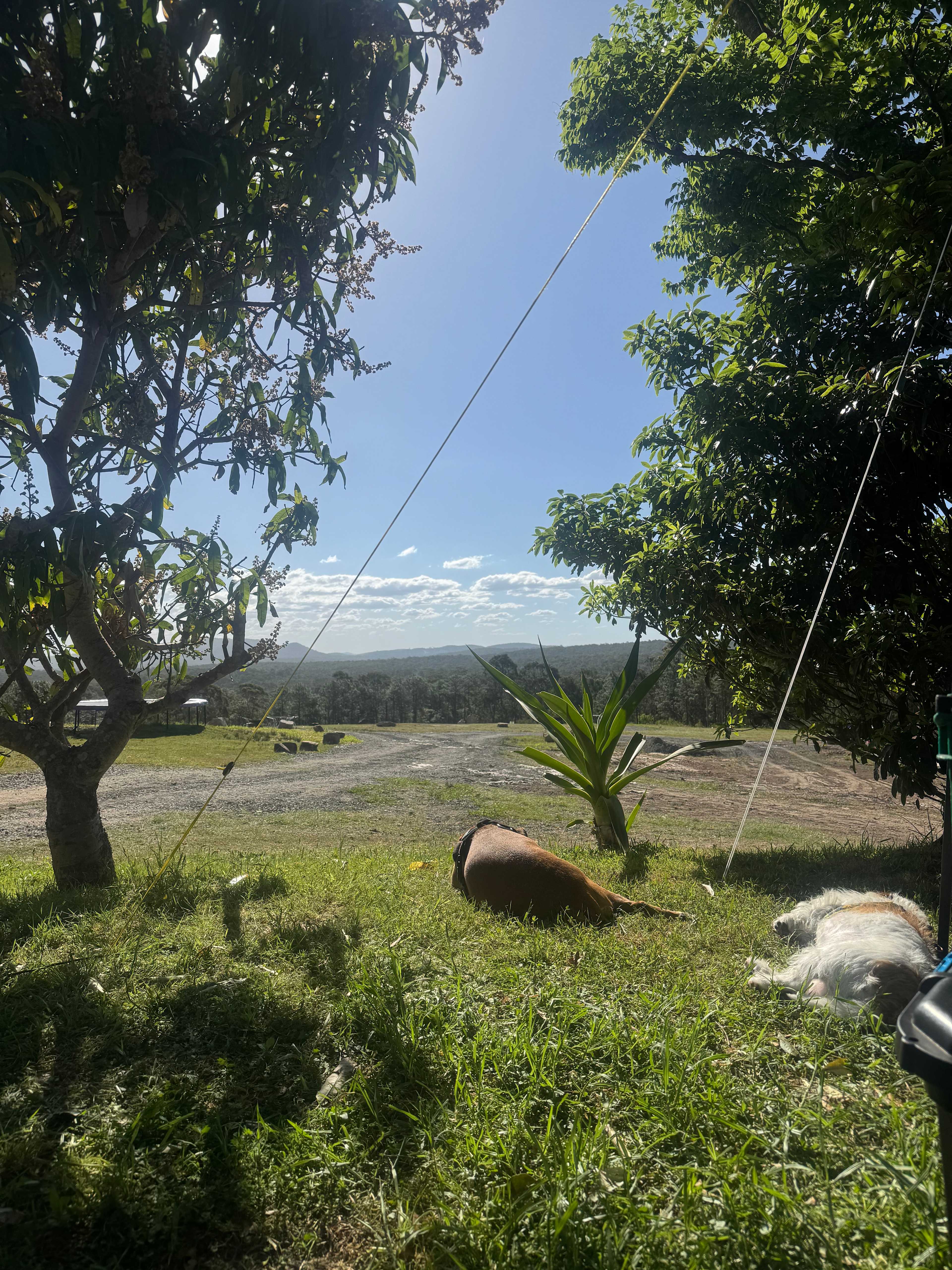 Fame Mountain Camp - pets welcome