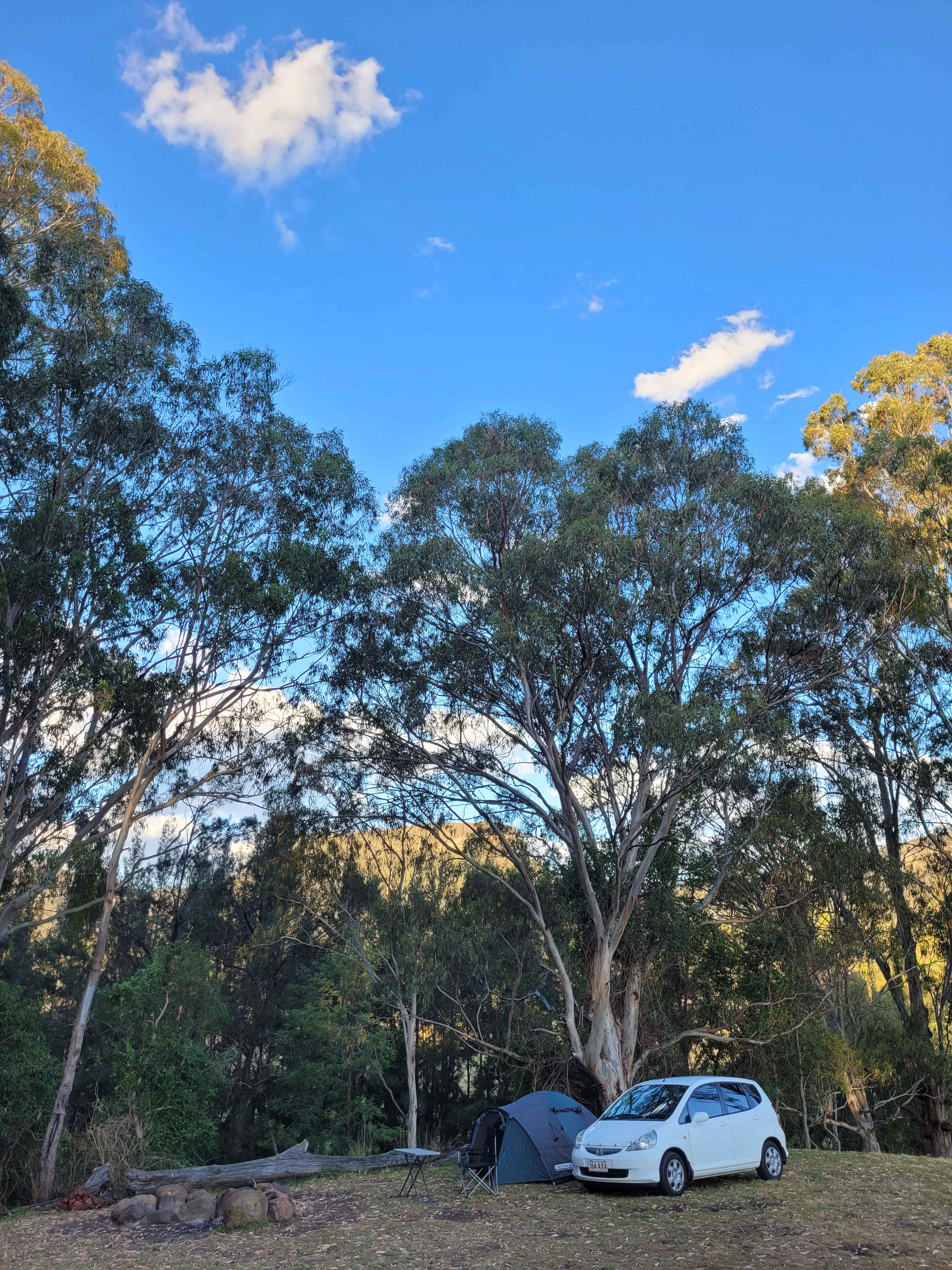 Wynola Country Cousins