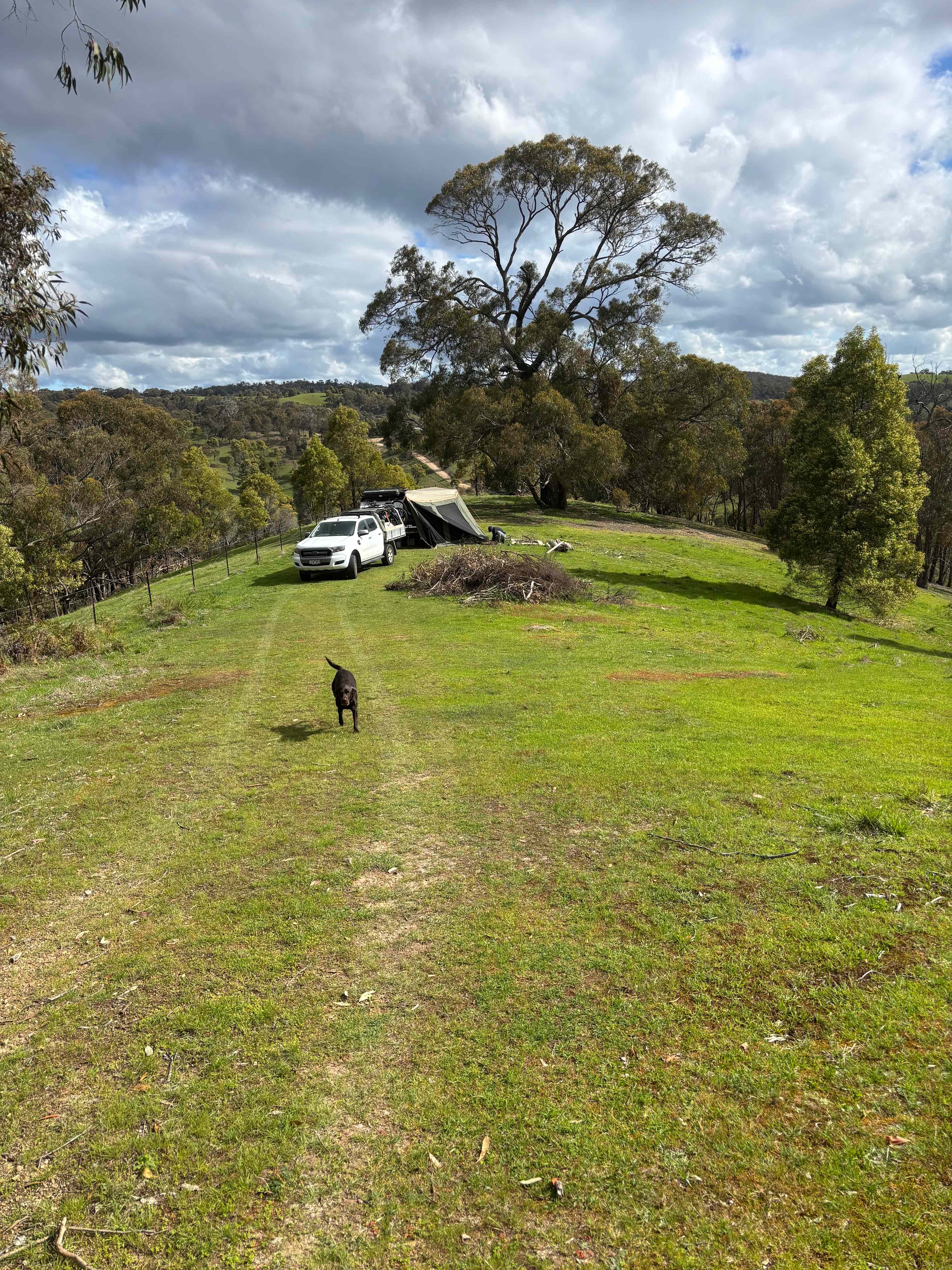 52 acre property with amazing views