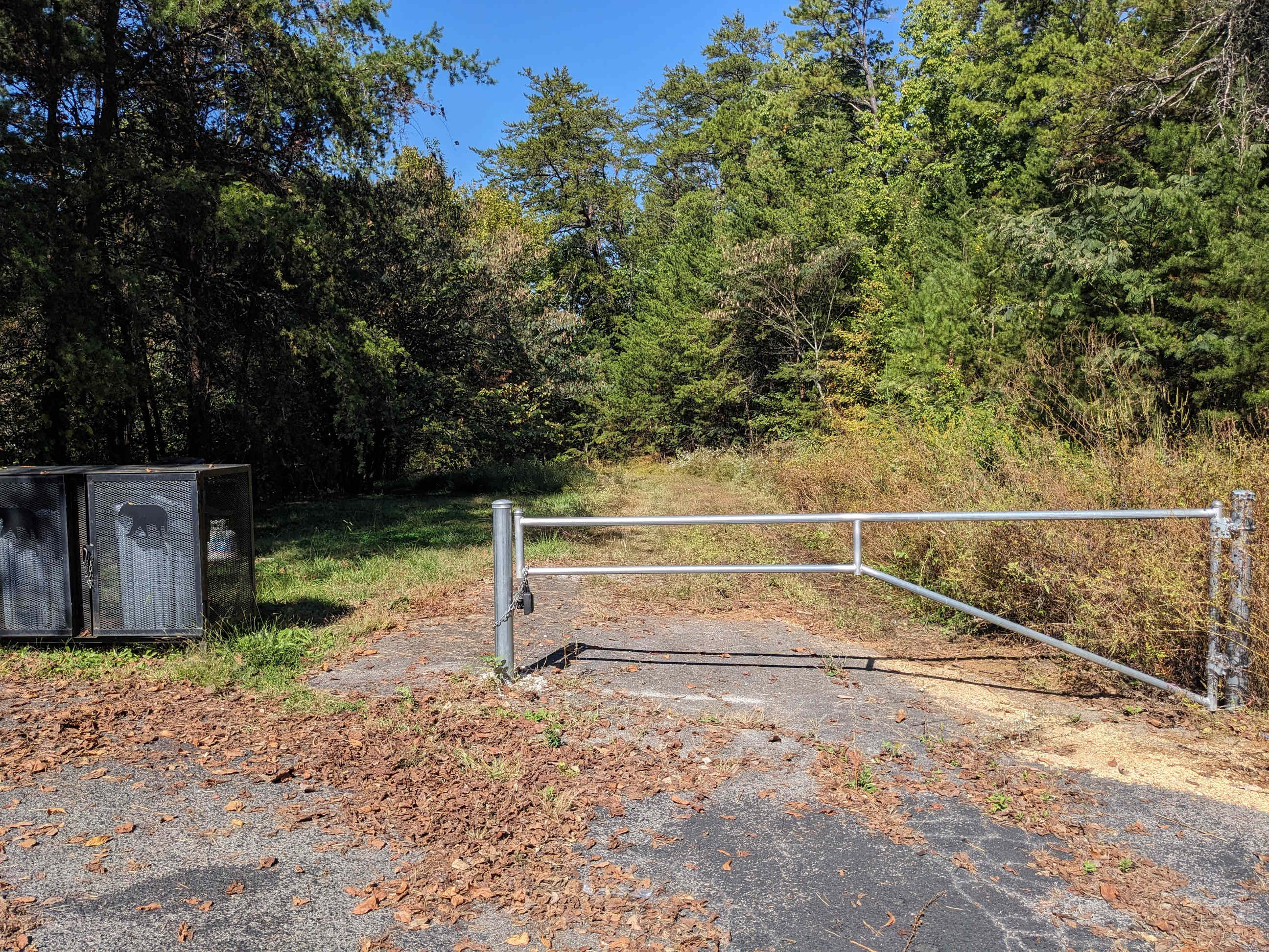 Picture of the site