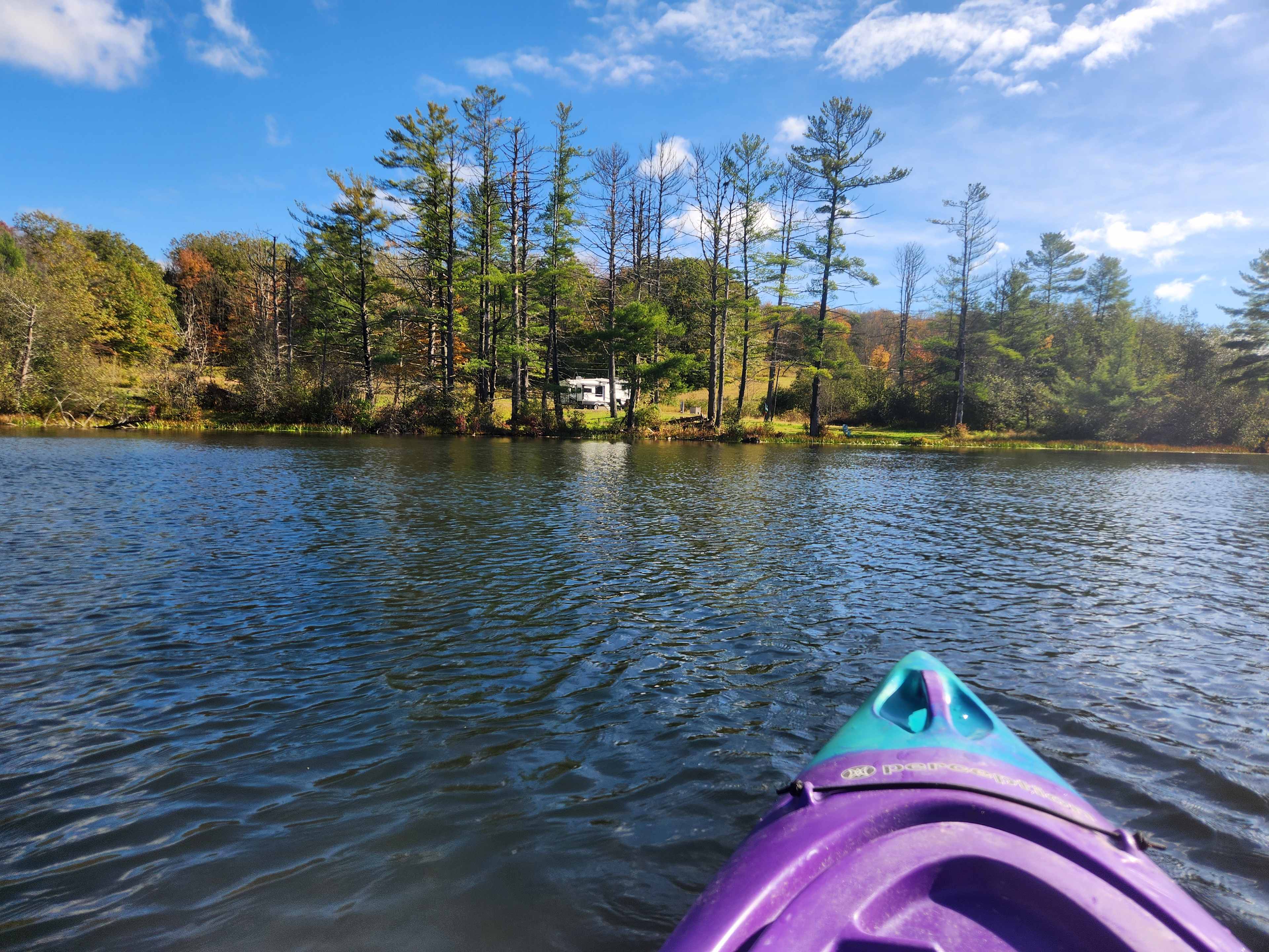 Lazy Paddle Cove at Stump Pond