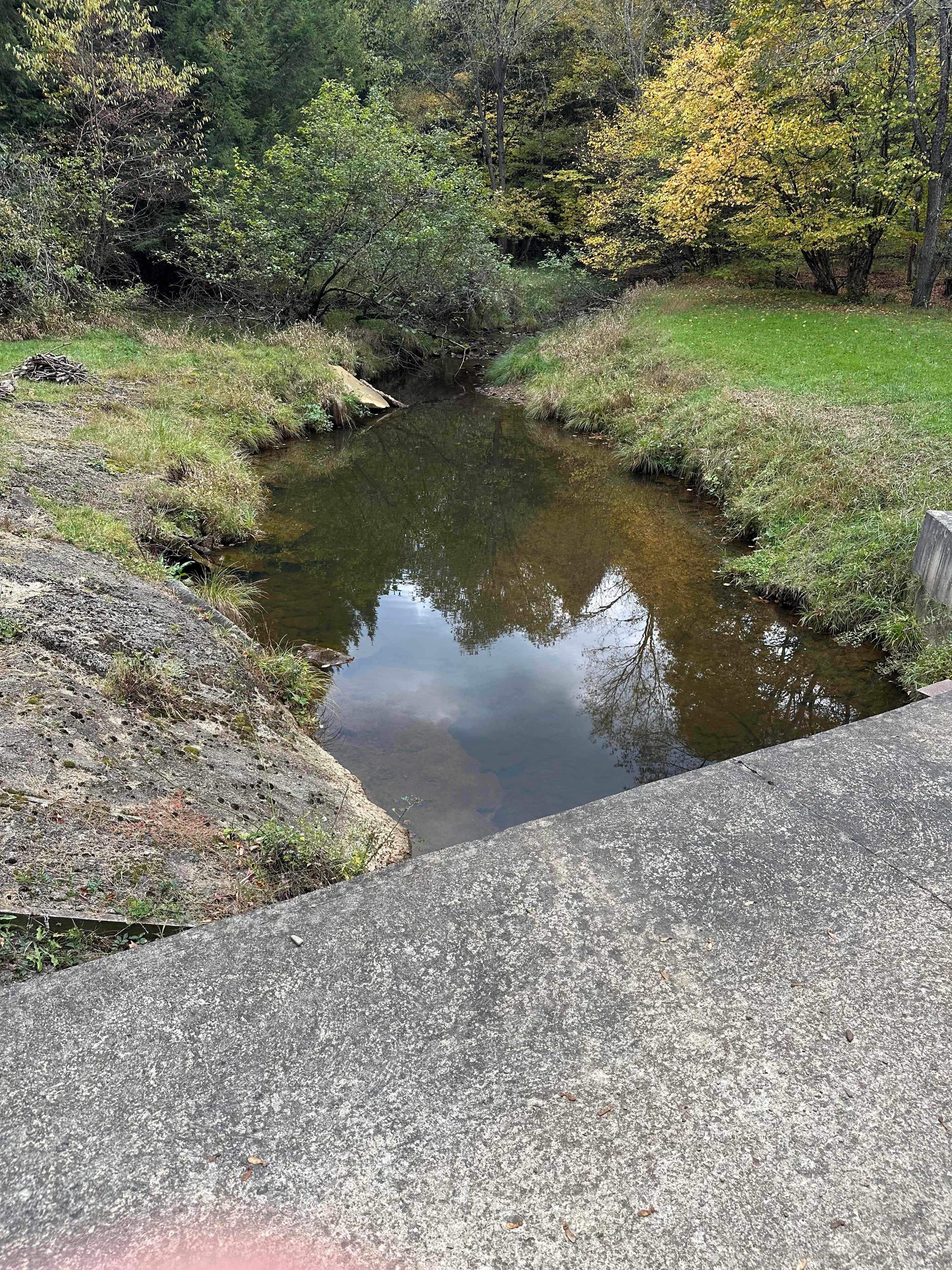 Roller-Coaster Road Ranch