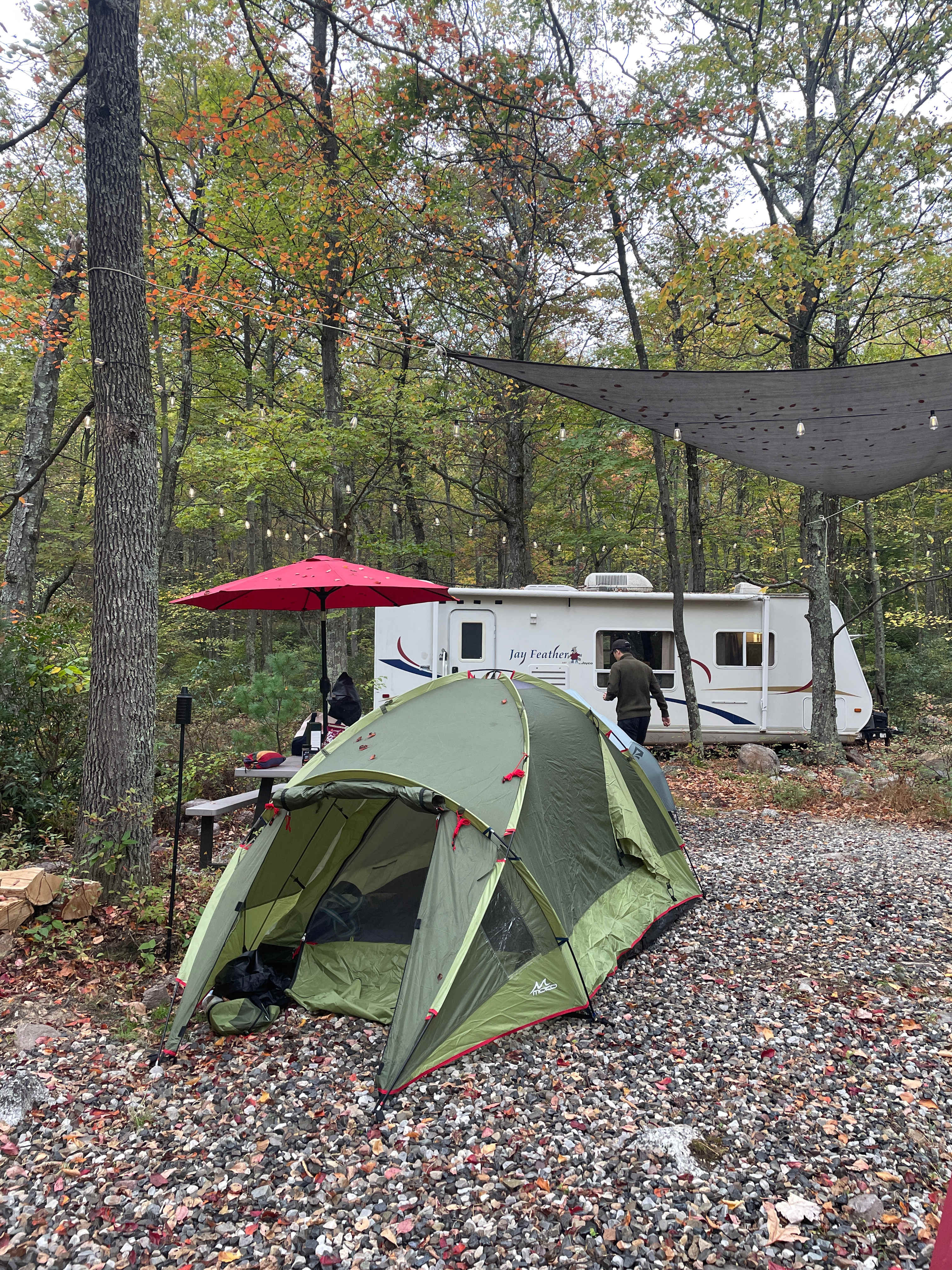 Tranquil Mountain Solitude