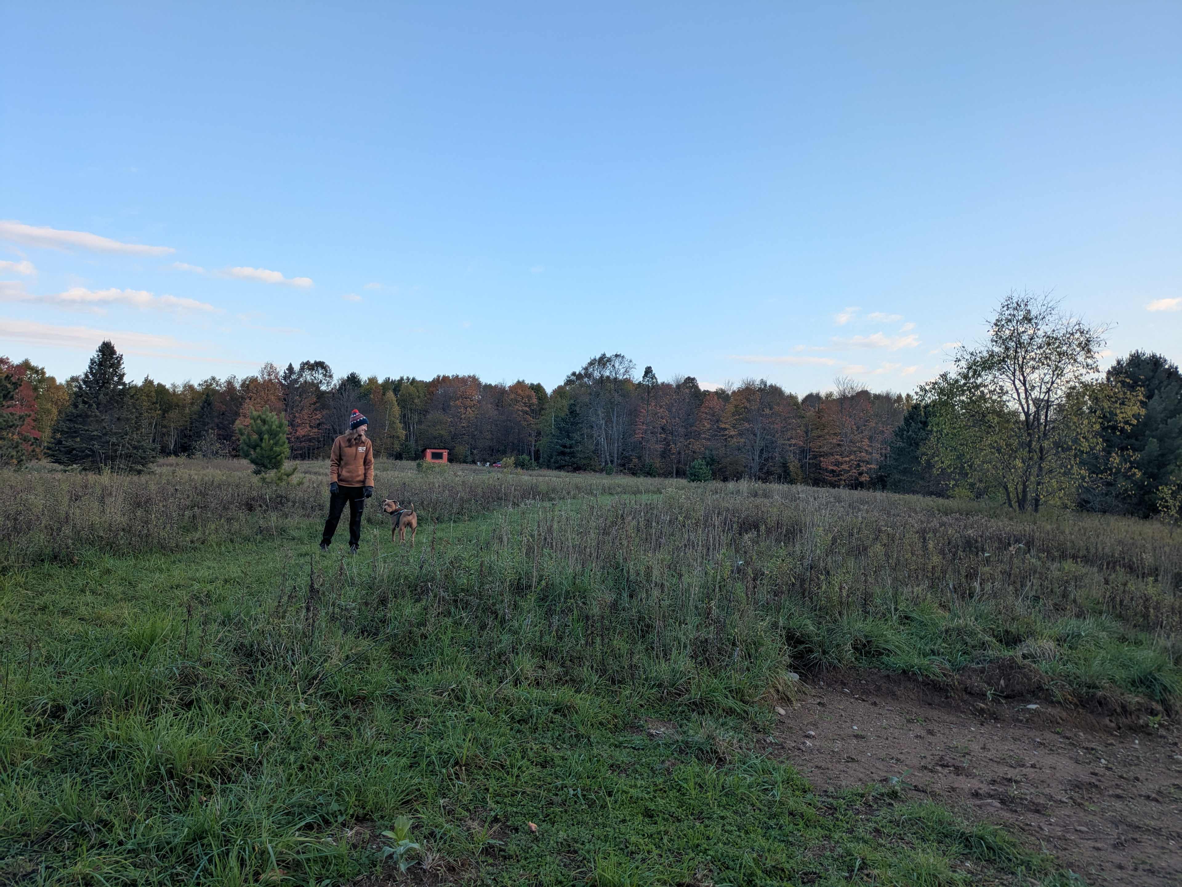 Simplicity @Top Of The Hill Huskies