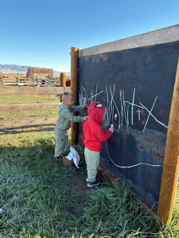 Crazy Cow Farm Adventures