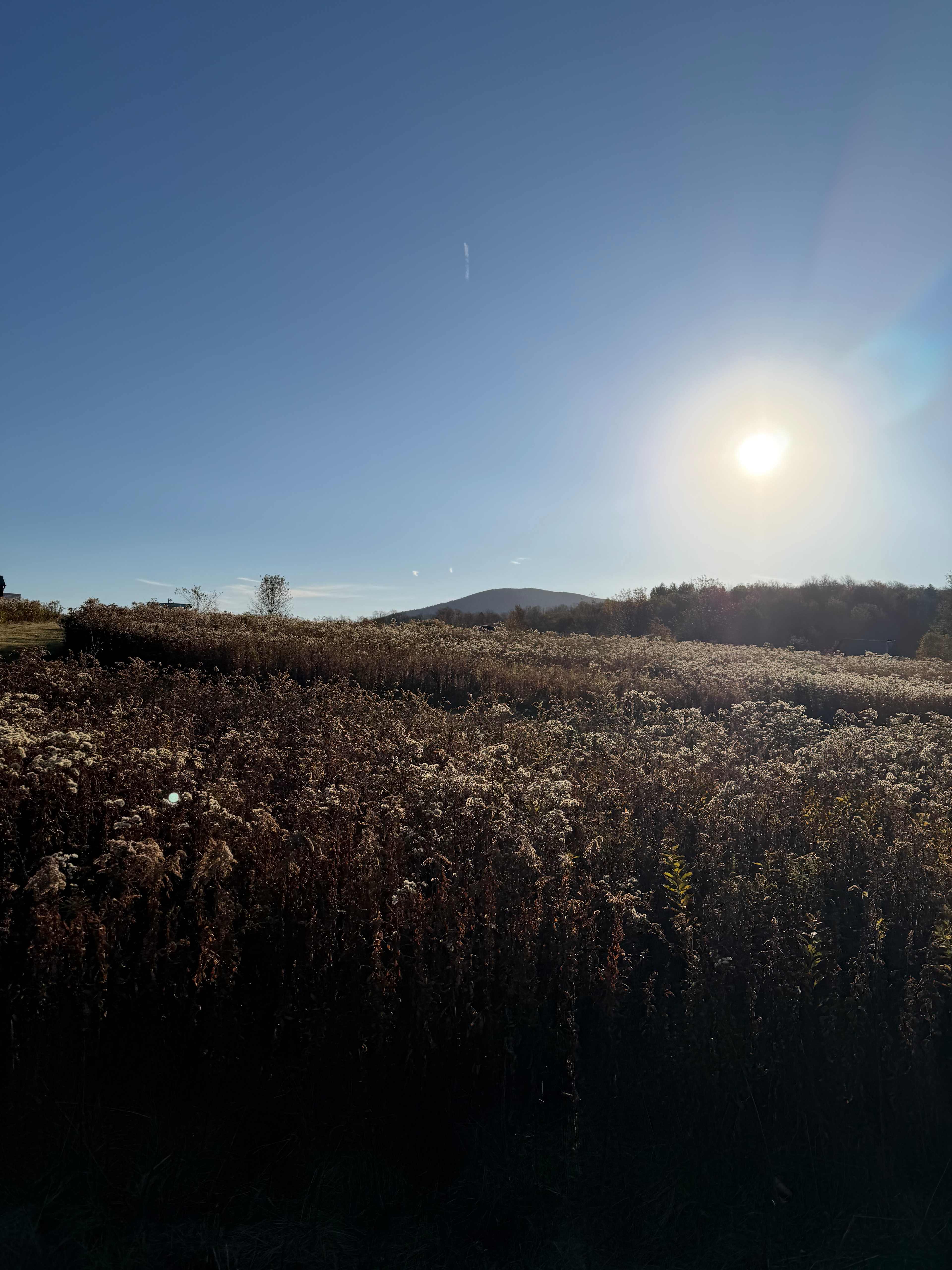Grateful Acres Vermont