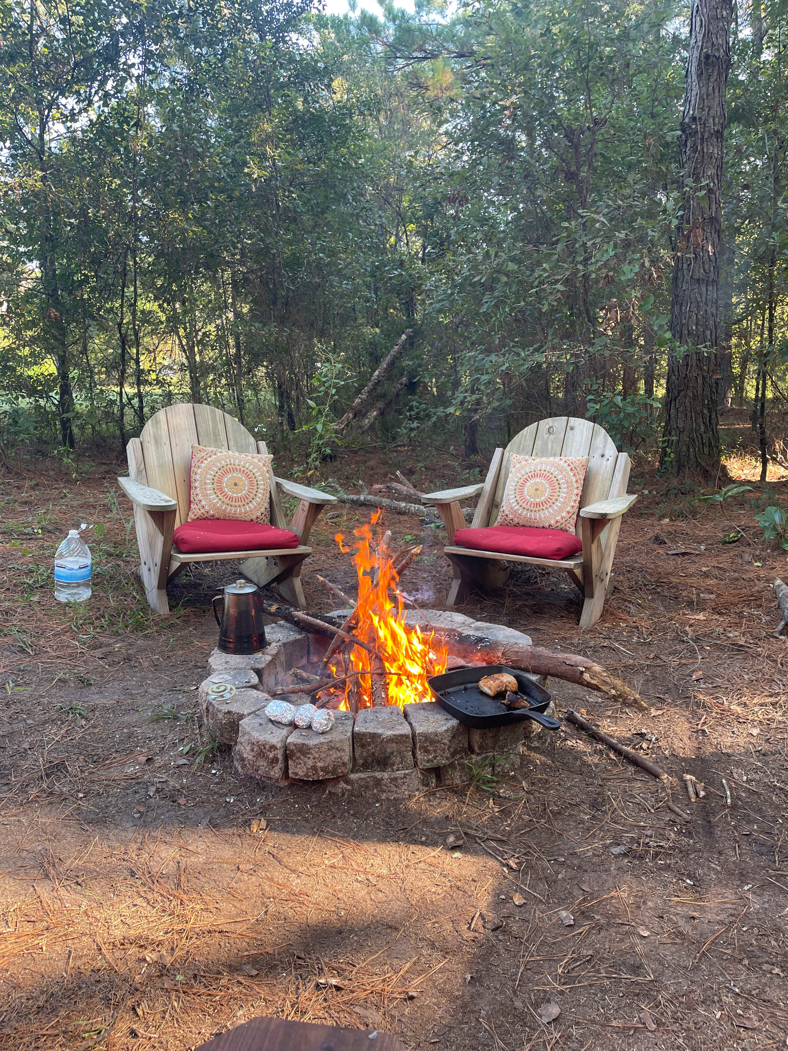 Wildflower Pond and Woodlands