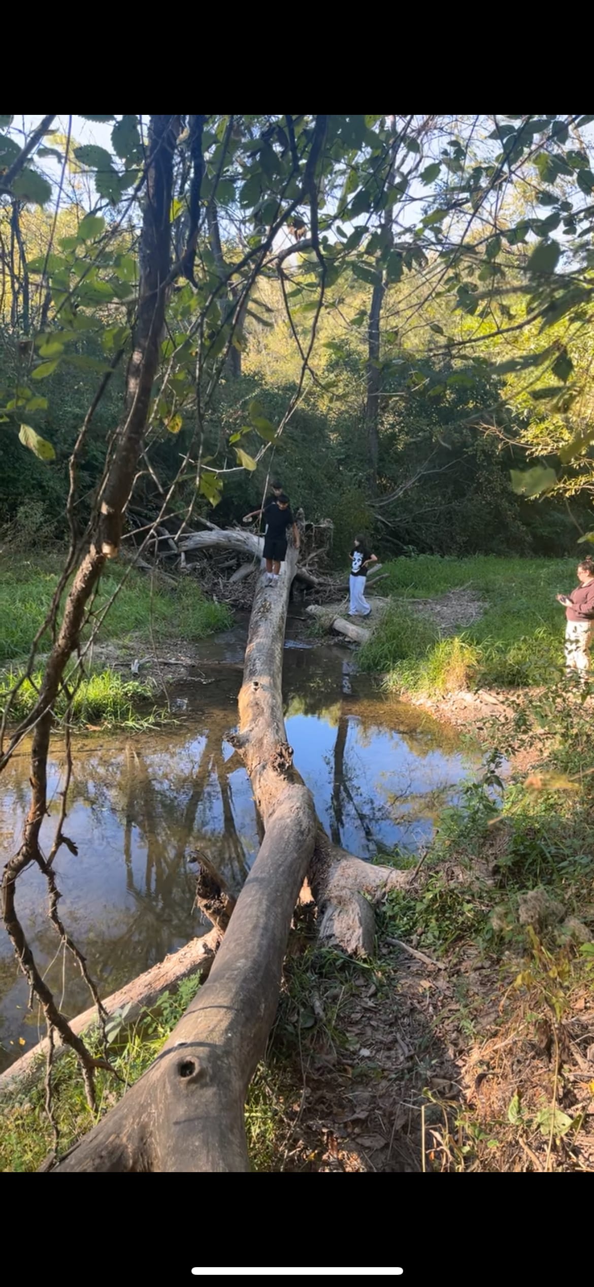 Yurt Glamping Tents + Farm Animals