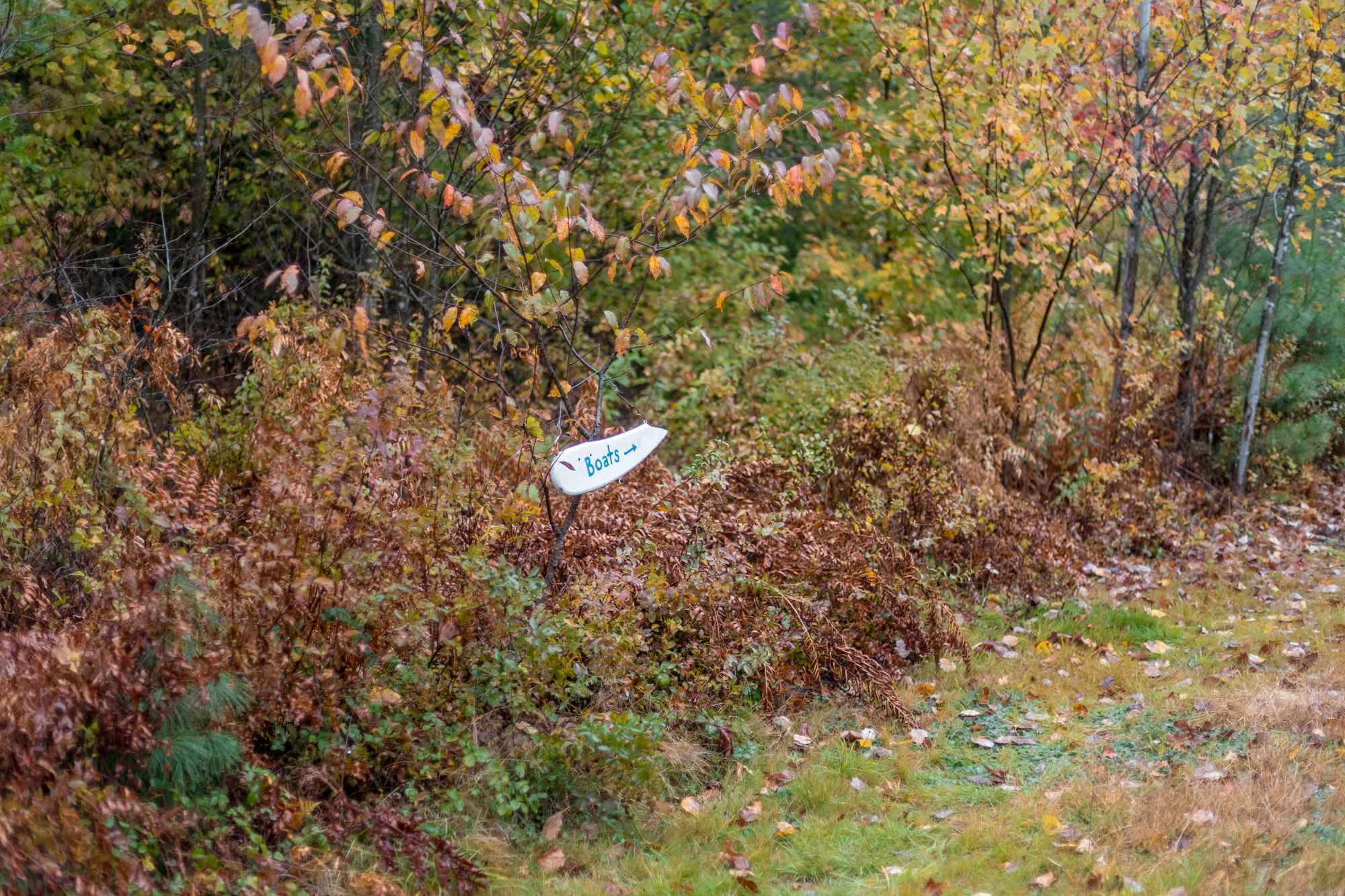 Sign guiding you from the site to the boats and road leading to the water.