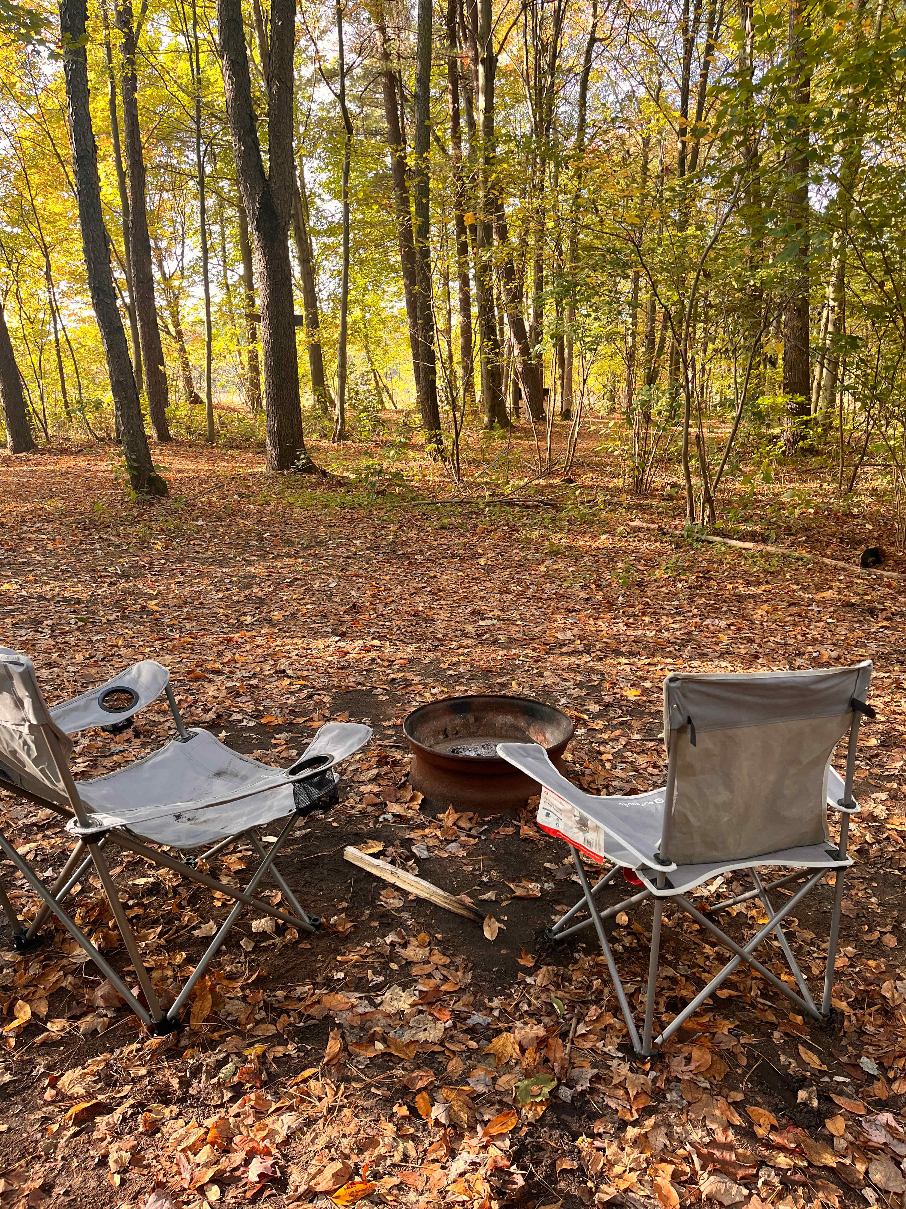 Spring Arbour Magic Forest &Trails!