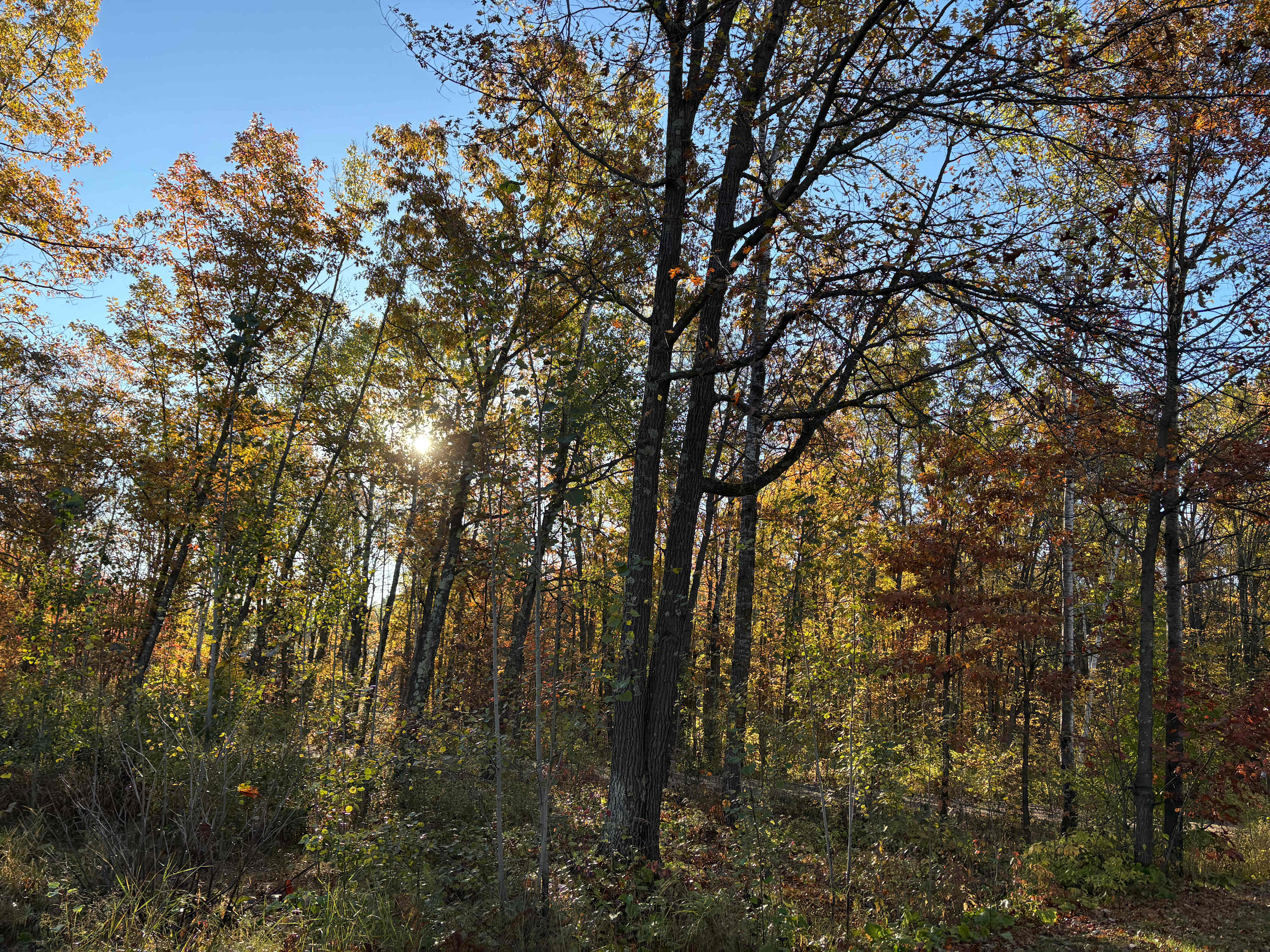 Reflections- Unique Modern A Frame