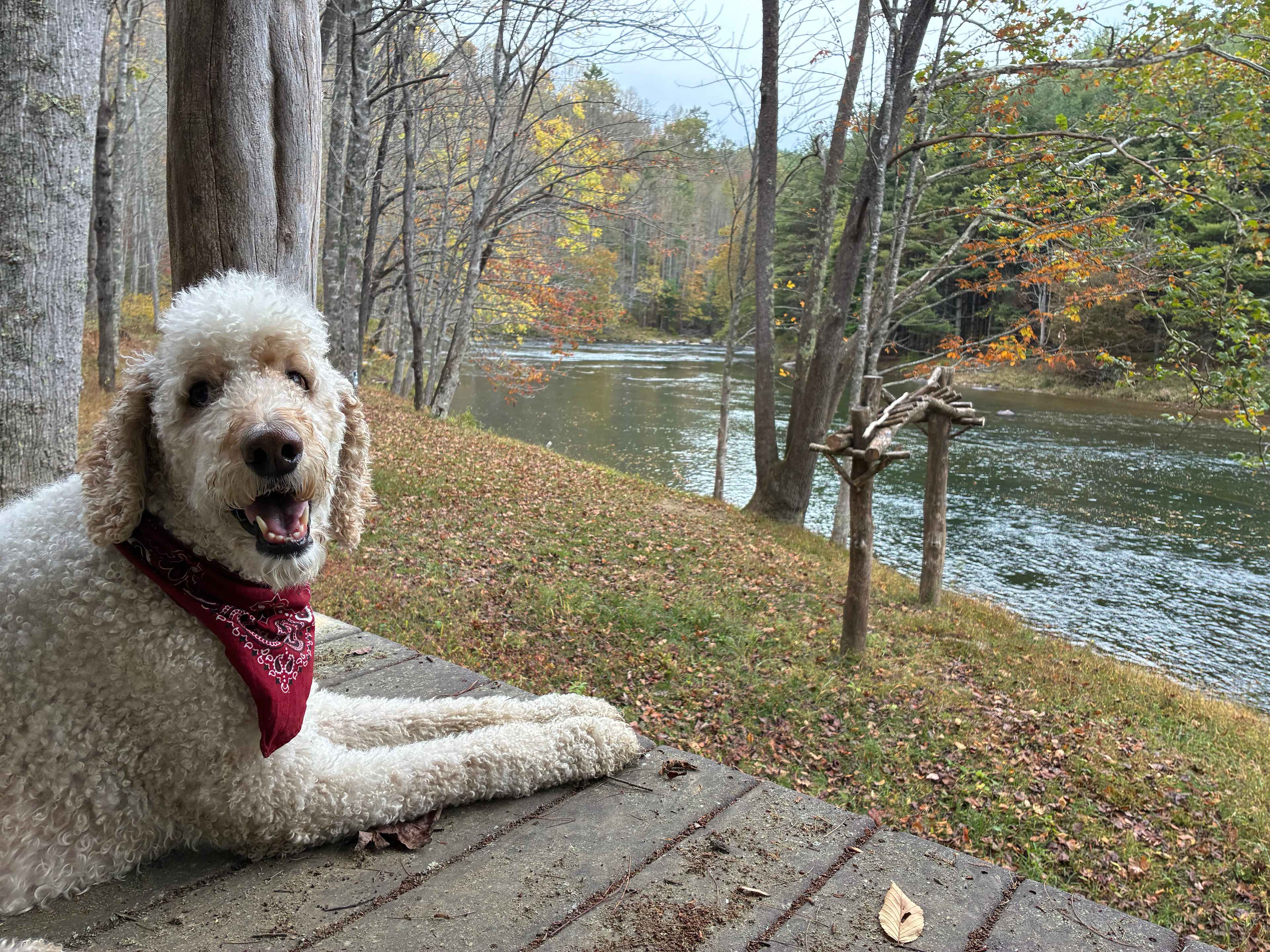 Peak A View Farm & Camp