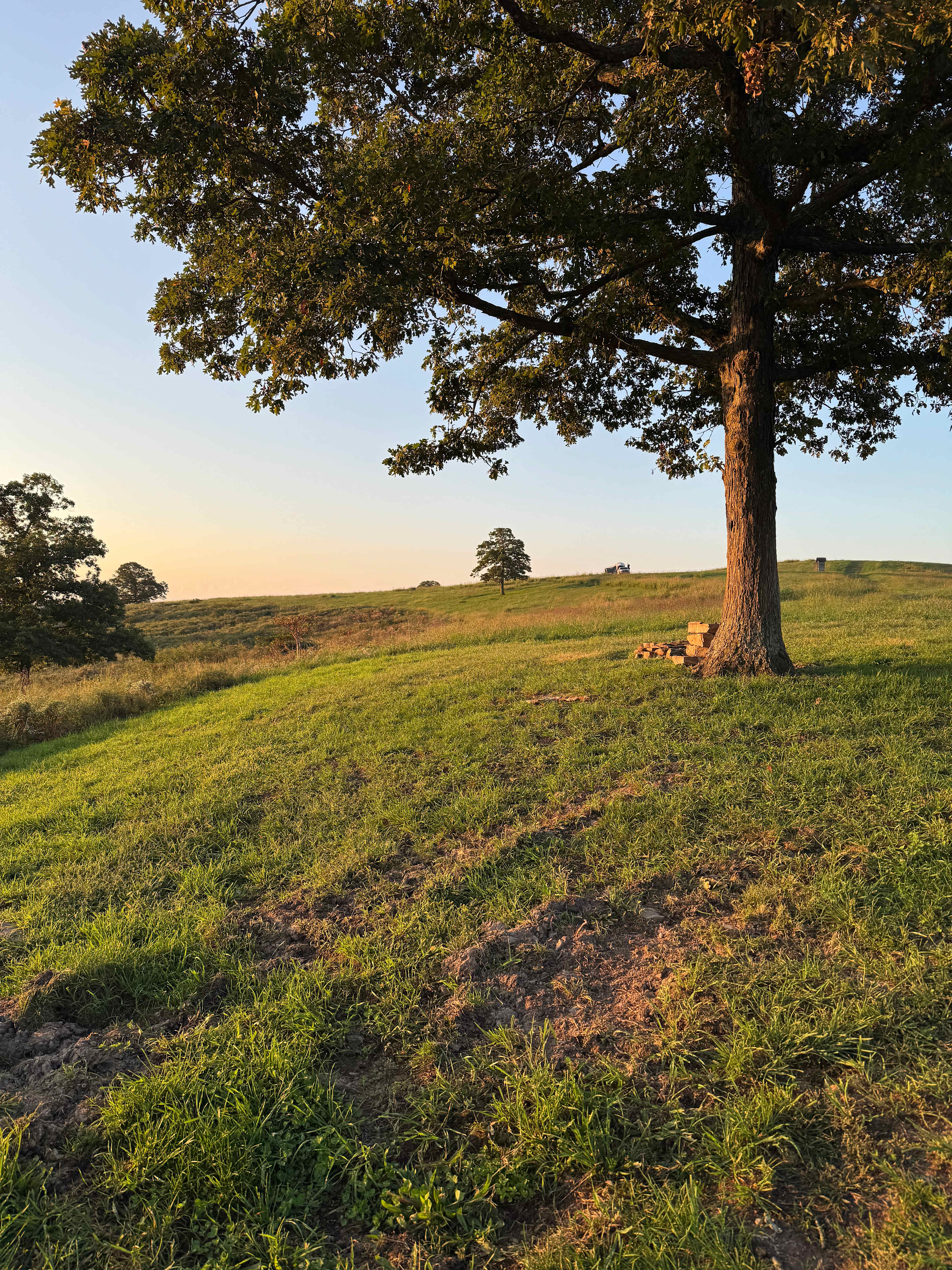 Wilderness Rider Buffalo Ranch