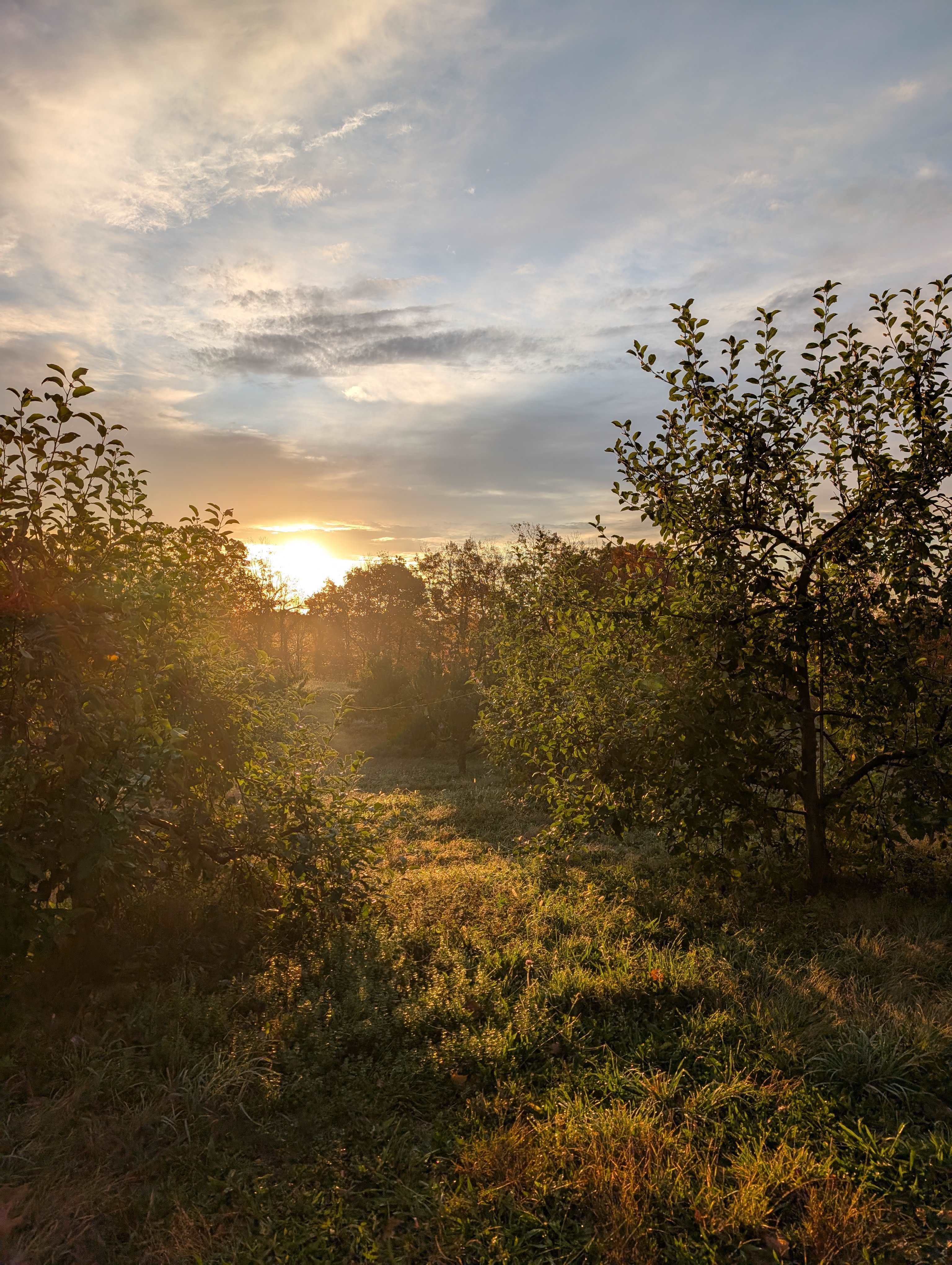 The Mountain Top @Wright's Farm