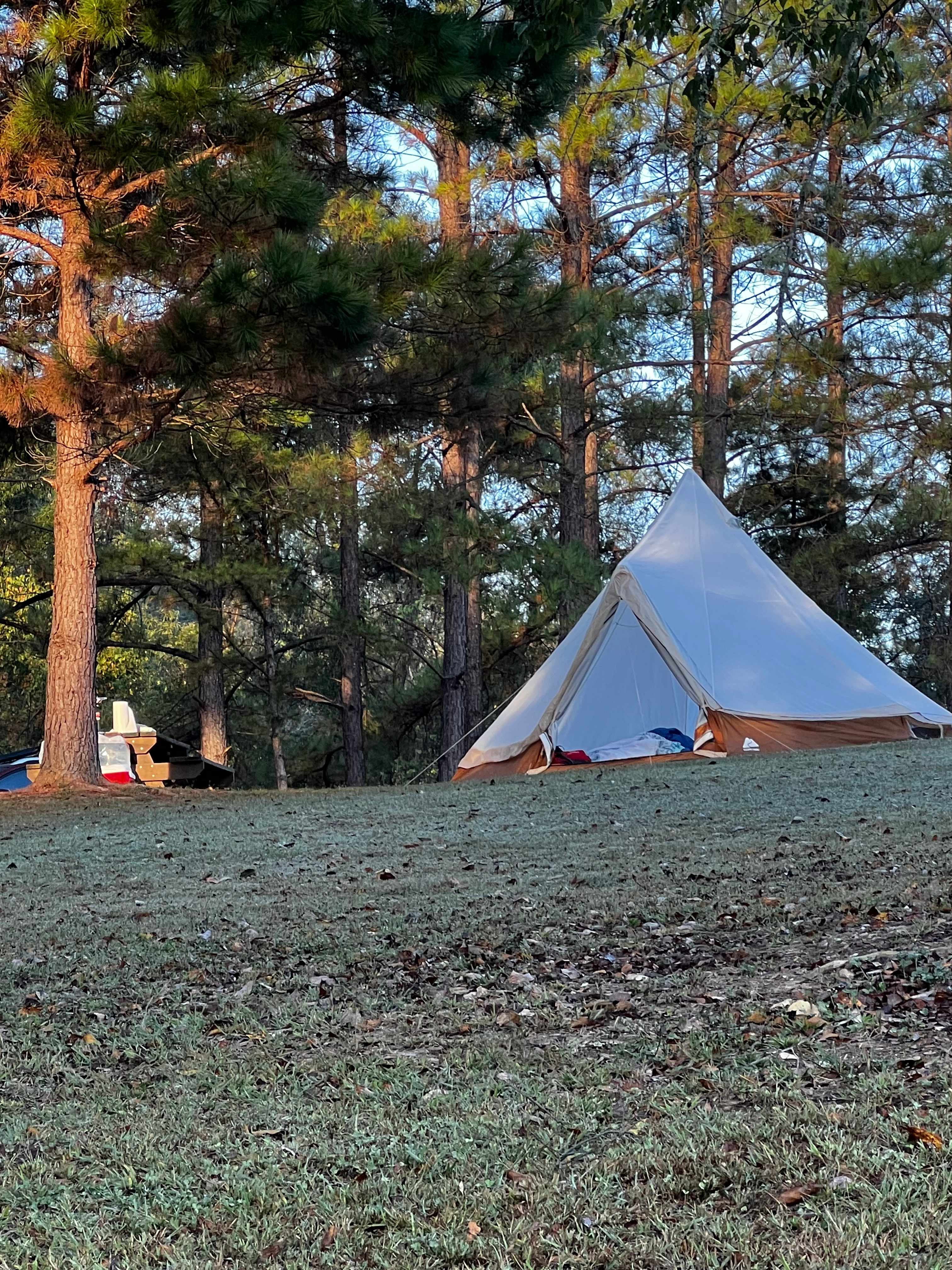 Bohamia - Glamp/RV/Camp