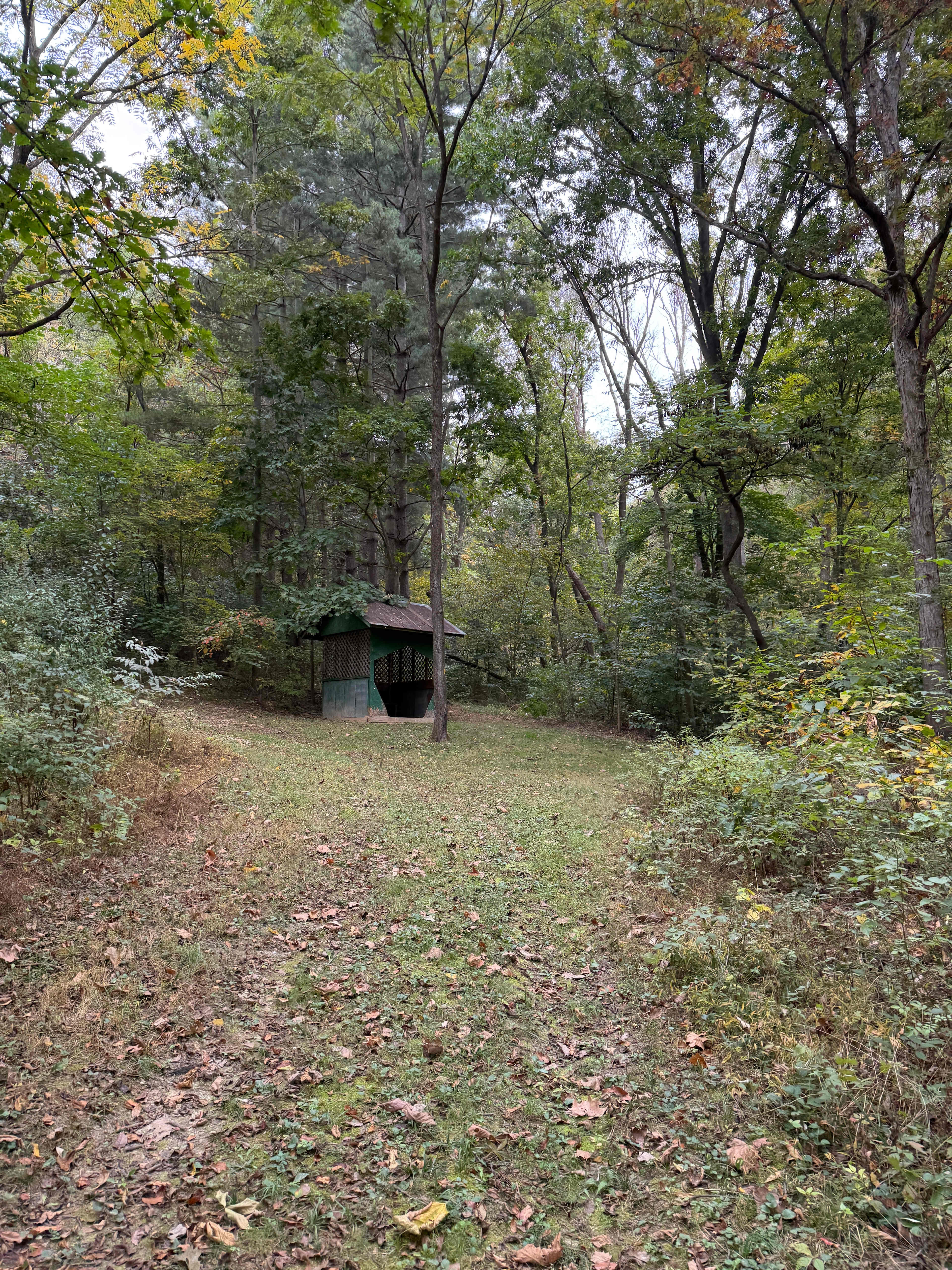 McCully Heritage Project