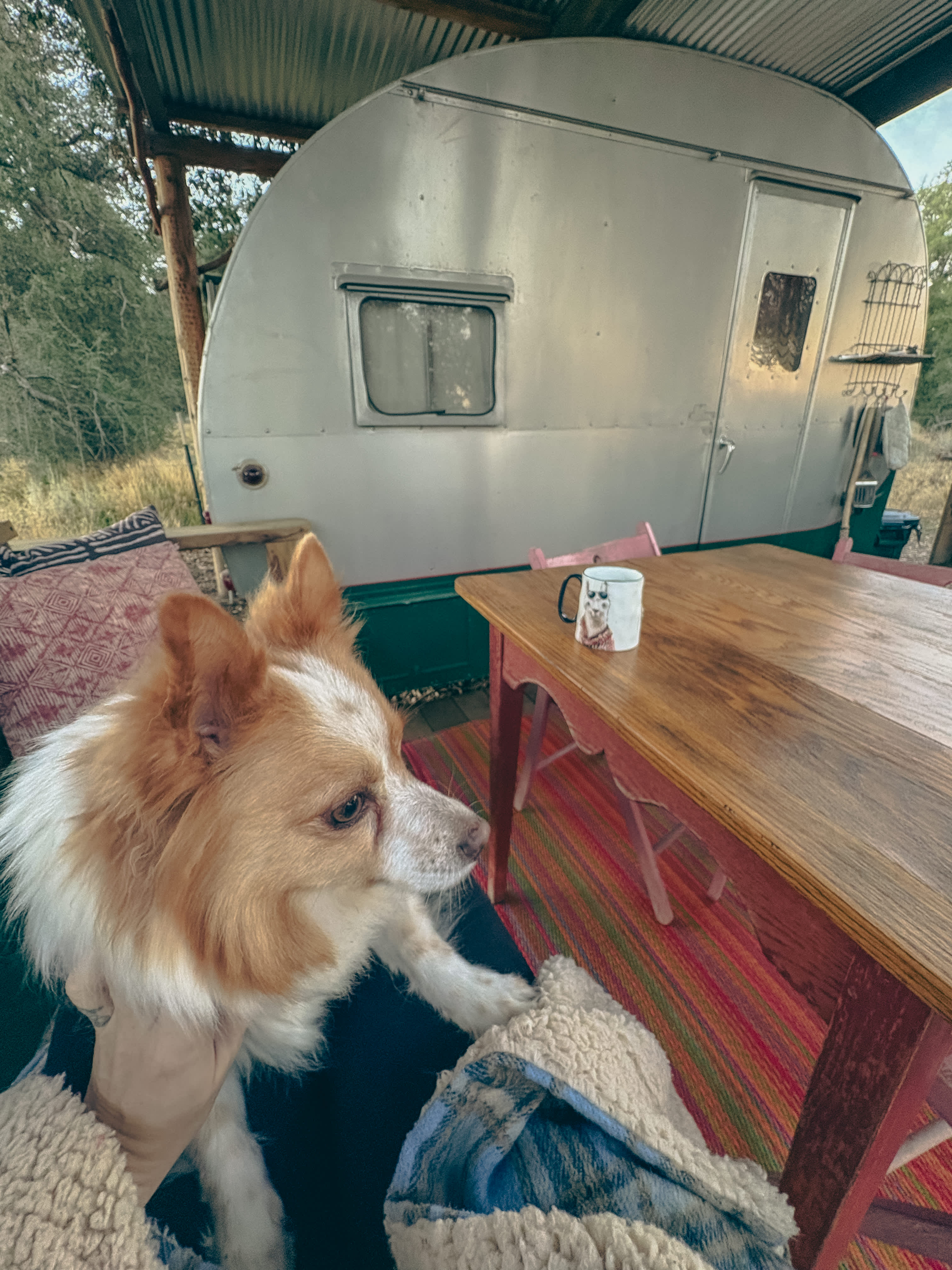 Birdsong Backcountry Retreat