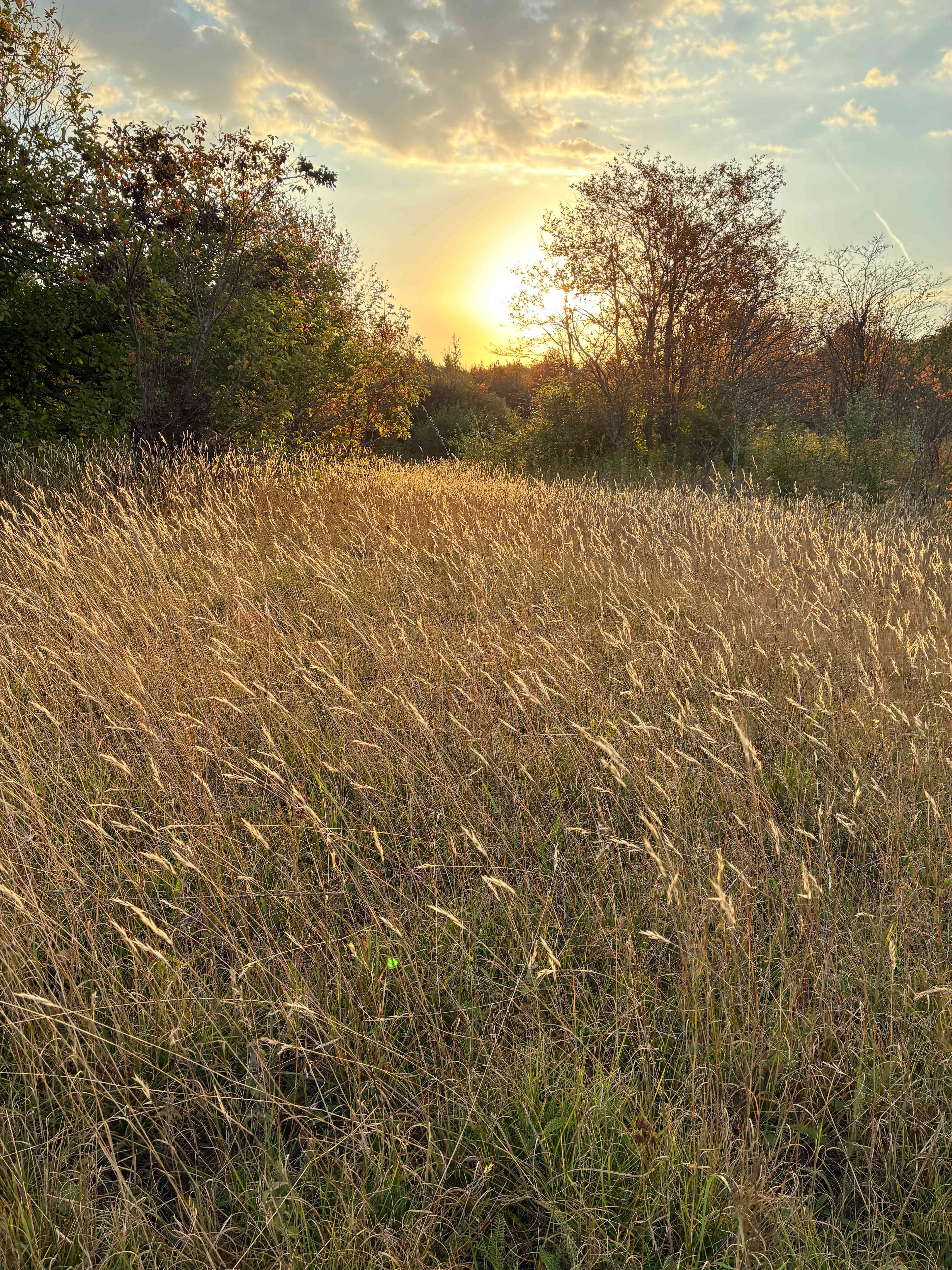Keweenaw Homestead Camping